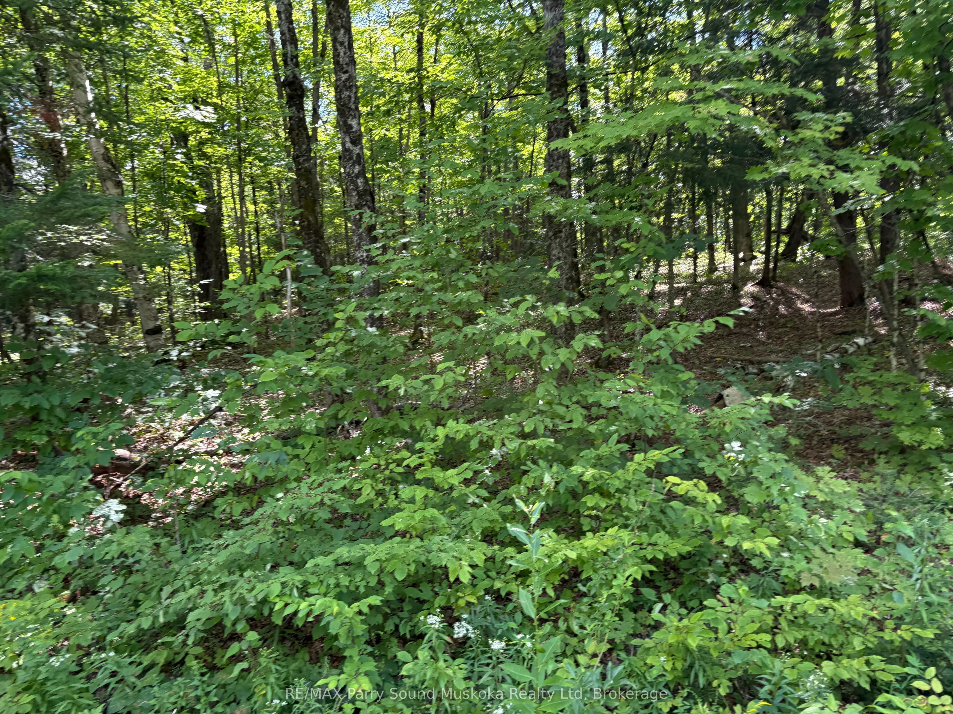 0 Ahmic Lake Road