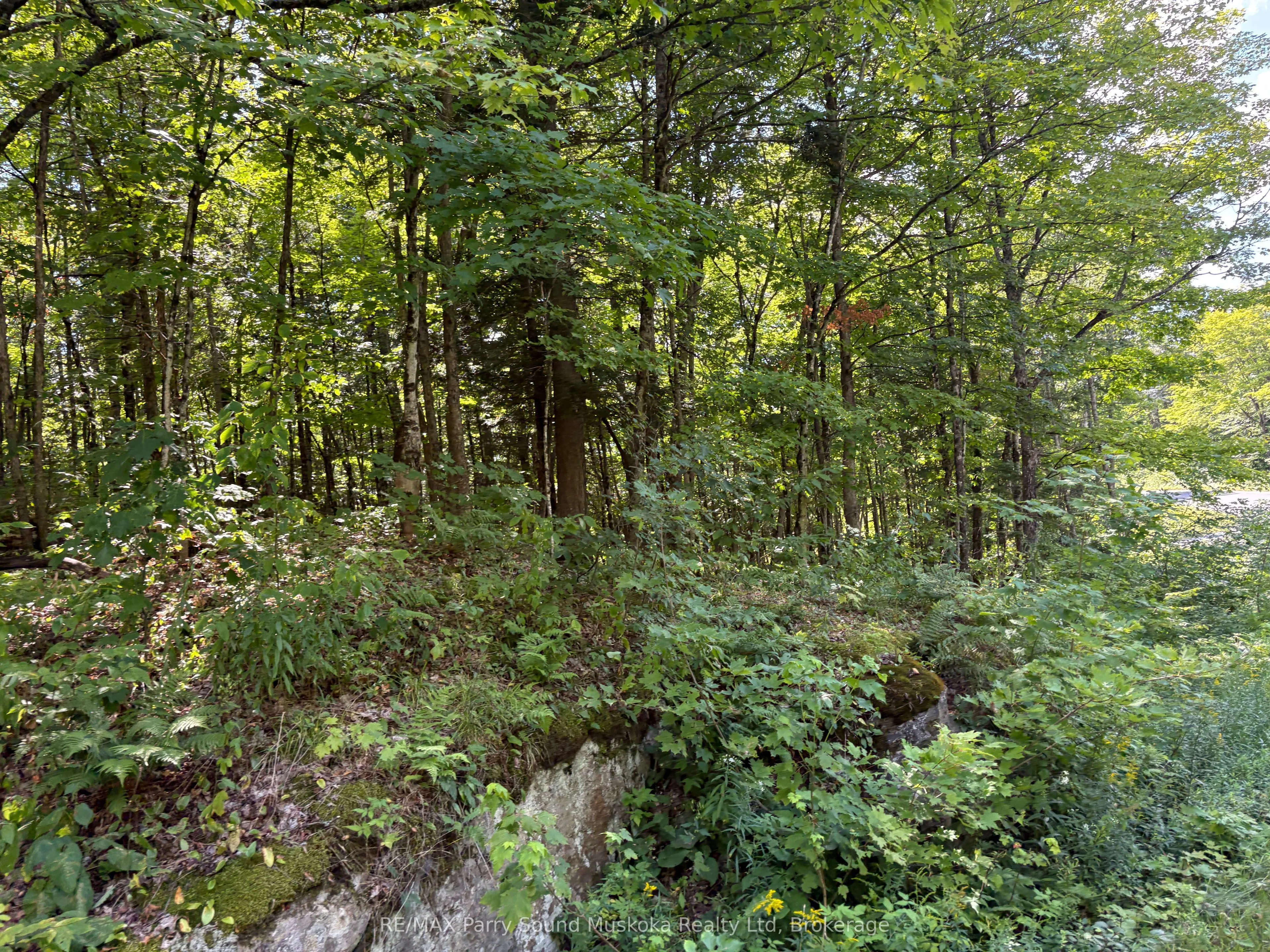 0 Ahmic Lake Road