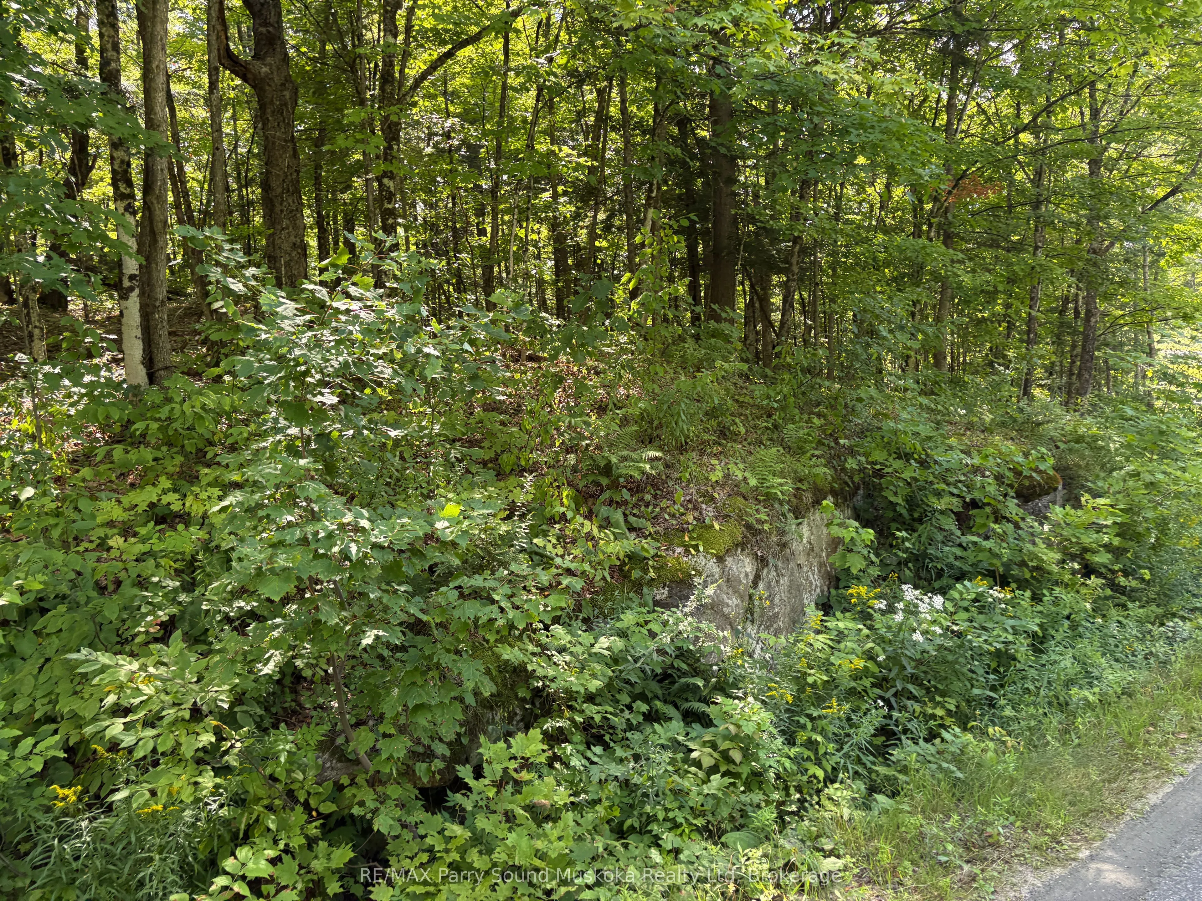 0 Ahmic Lake Road