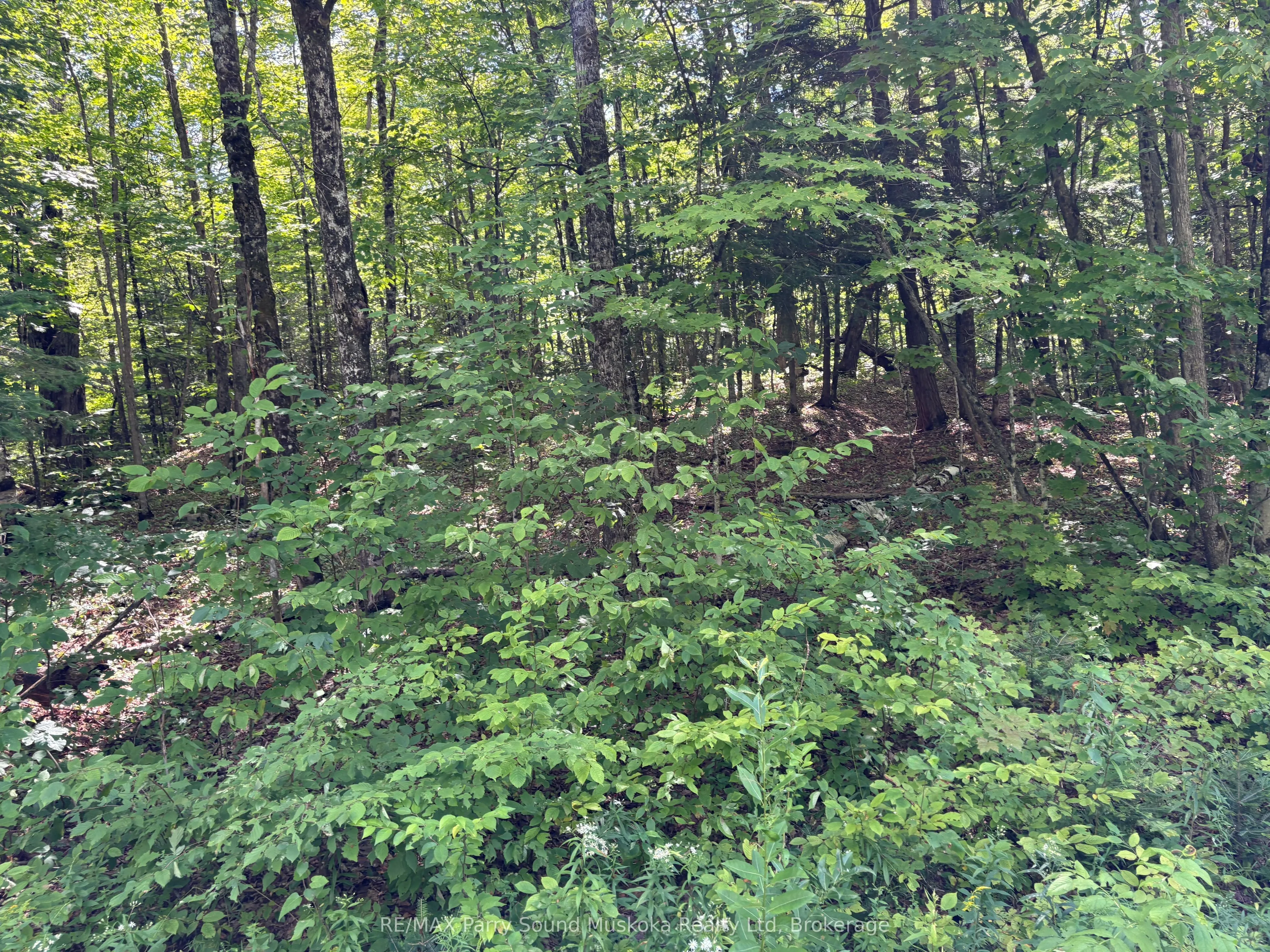 0 Ahmic Lake Road