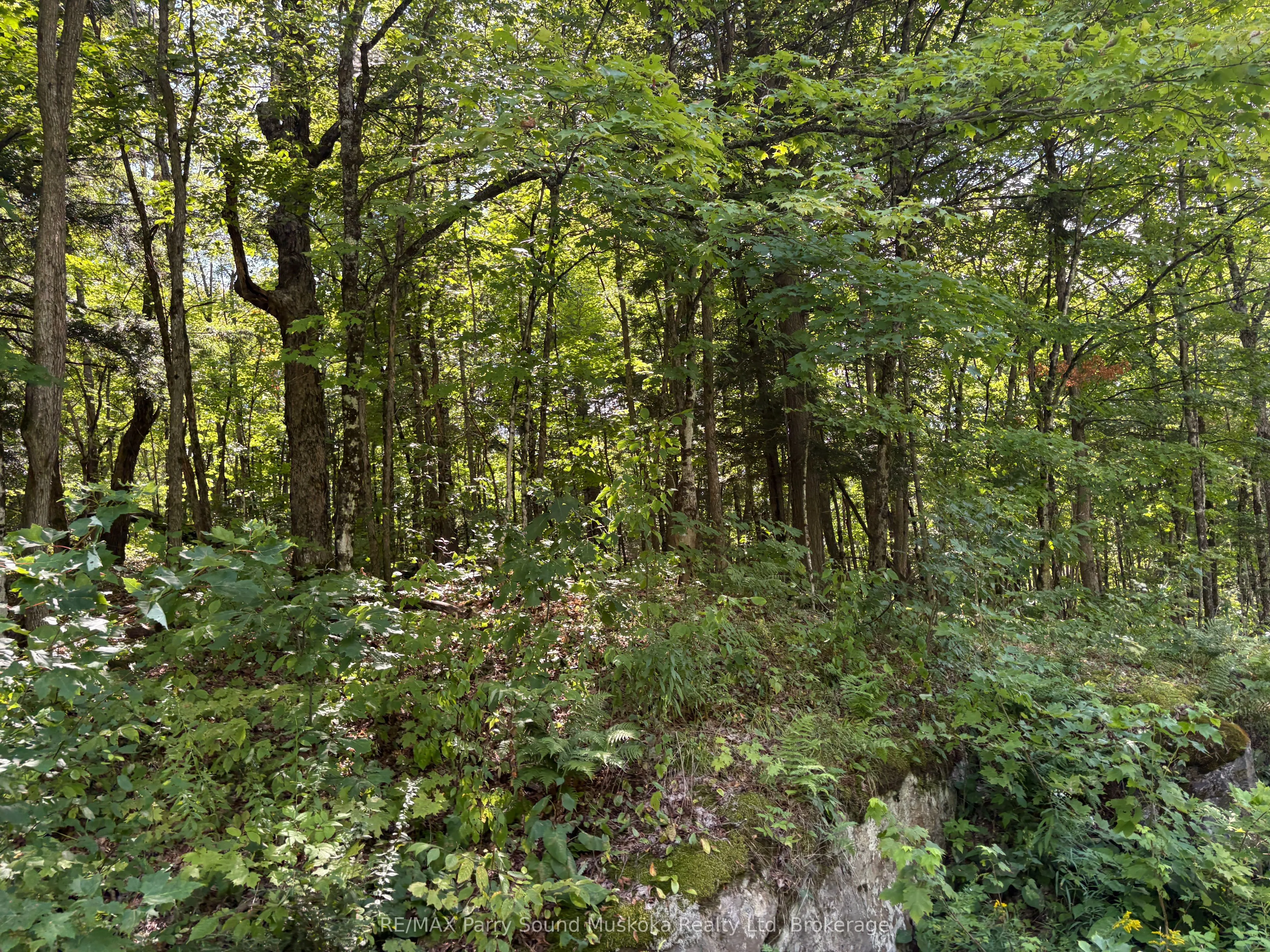 0 Ahmic Lake Road
