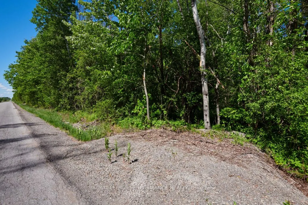 3255 Paden Road