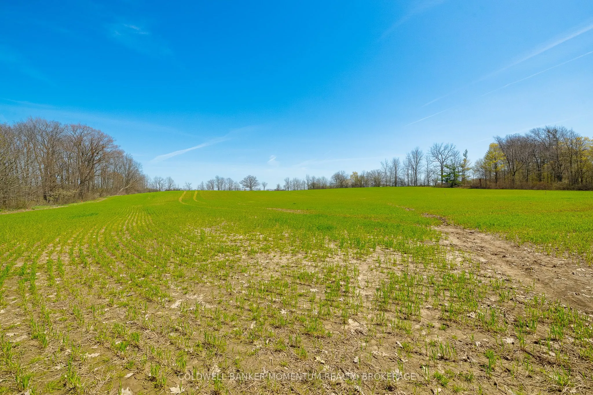 Pt Lot 7 Con 9 Tintern Road