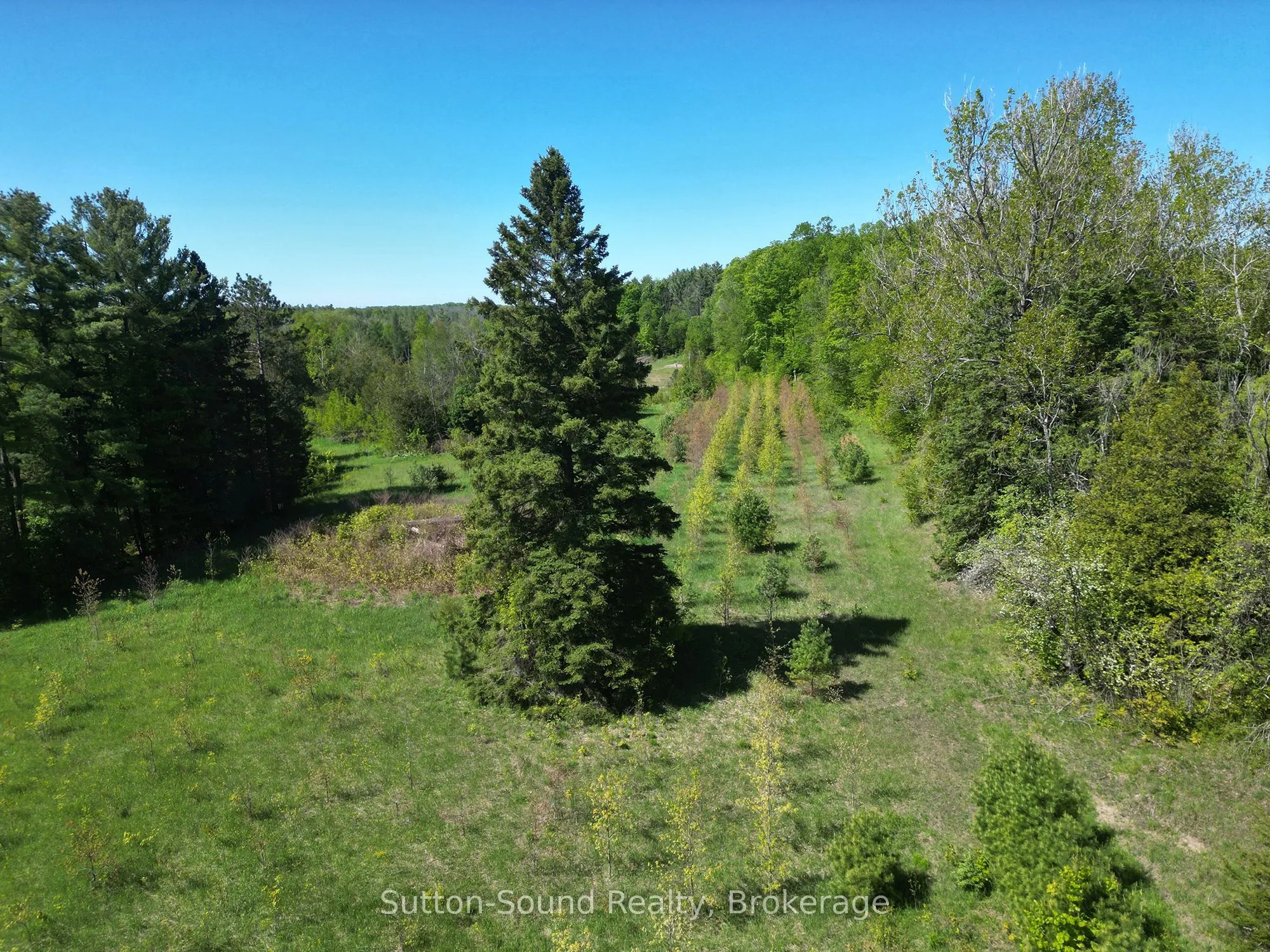 266 Rankin Bridge Road