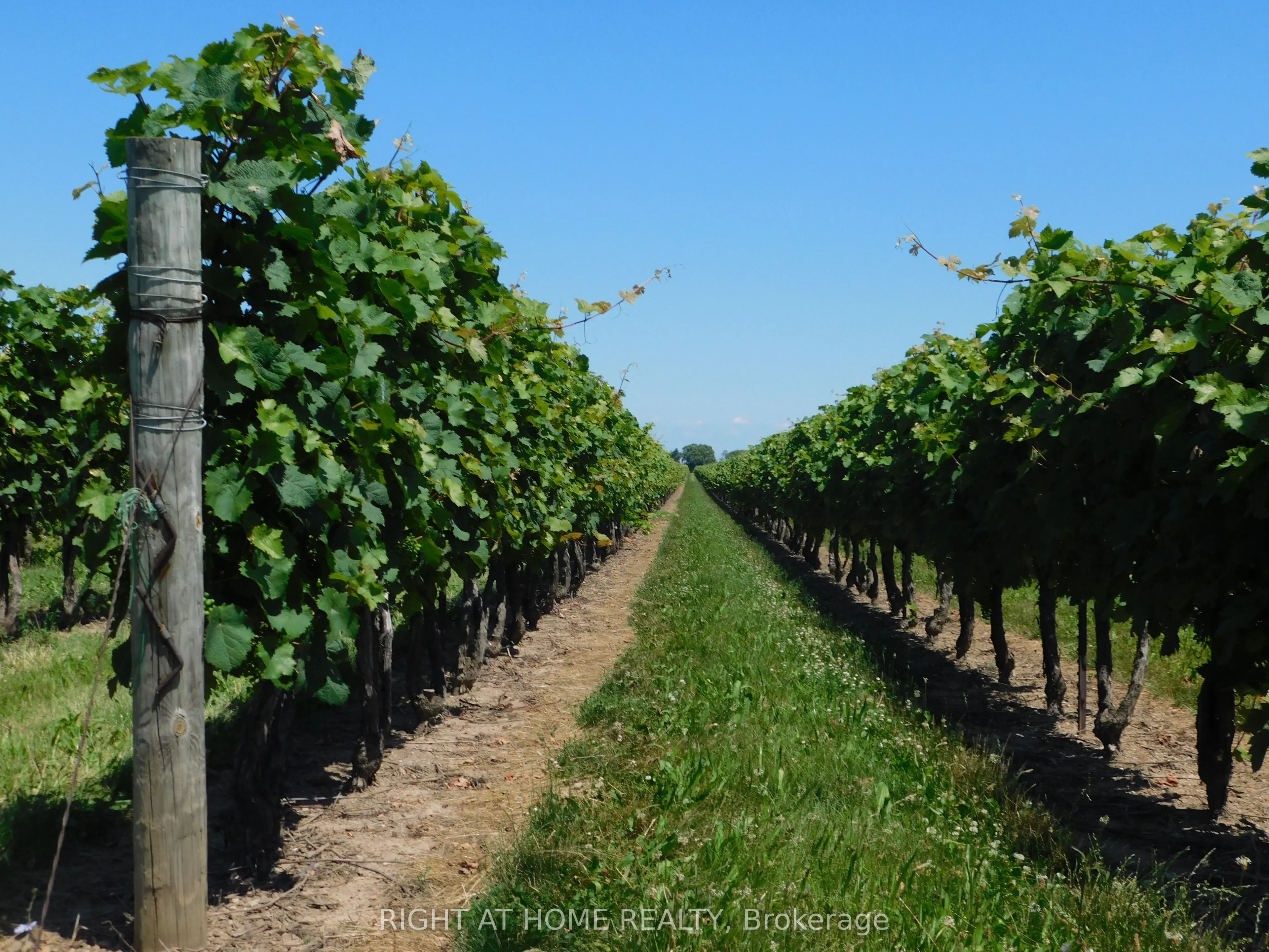 3705 North Service Road