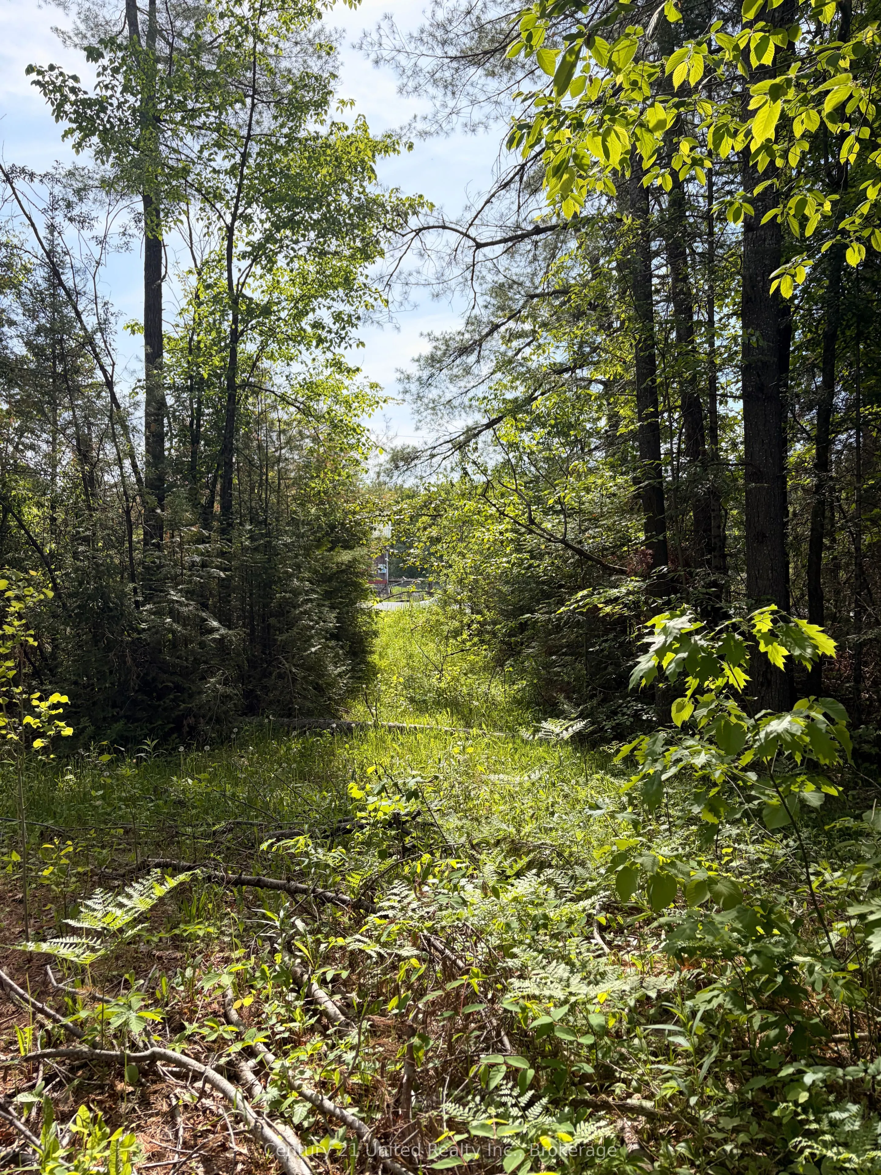 254 County Rd 620