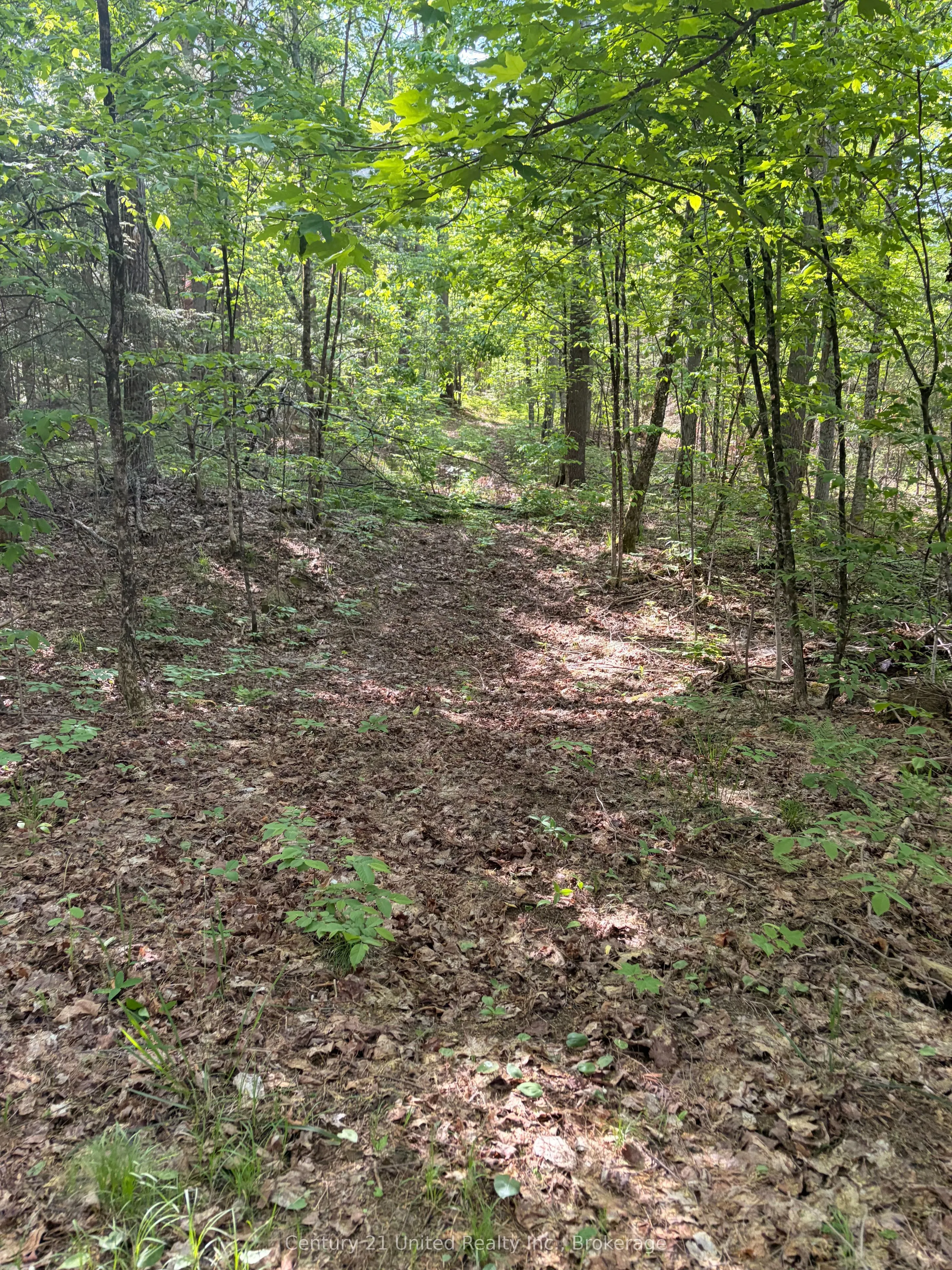 254 County Rd 620