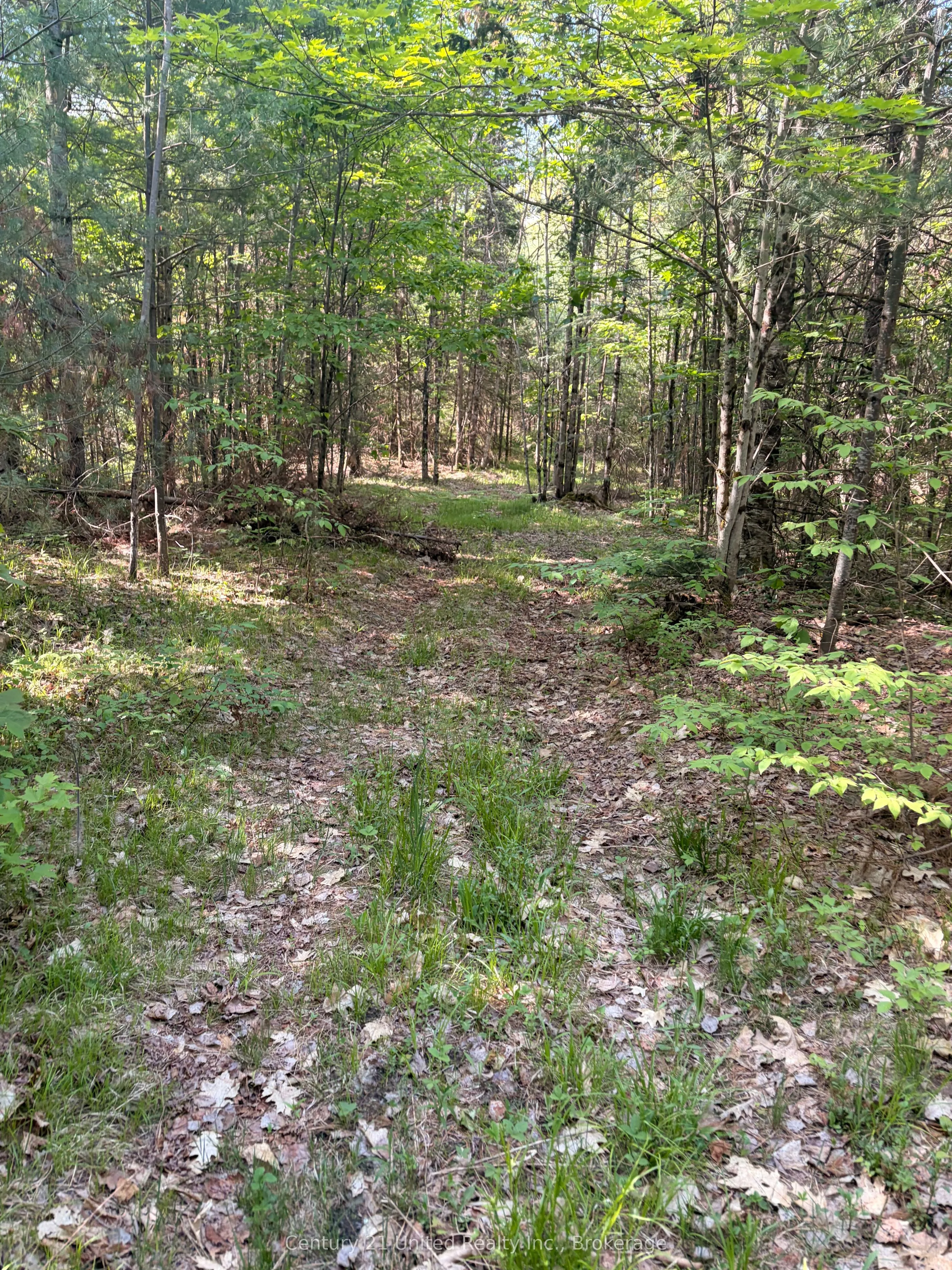 254 County Rd 620