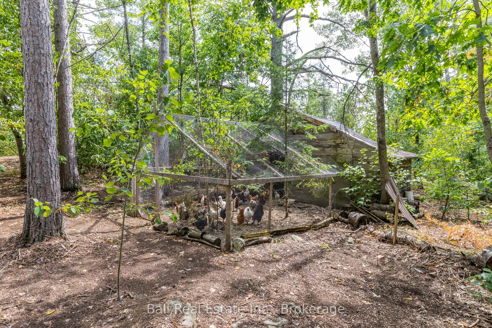2476 County Rd 46