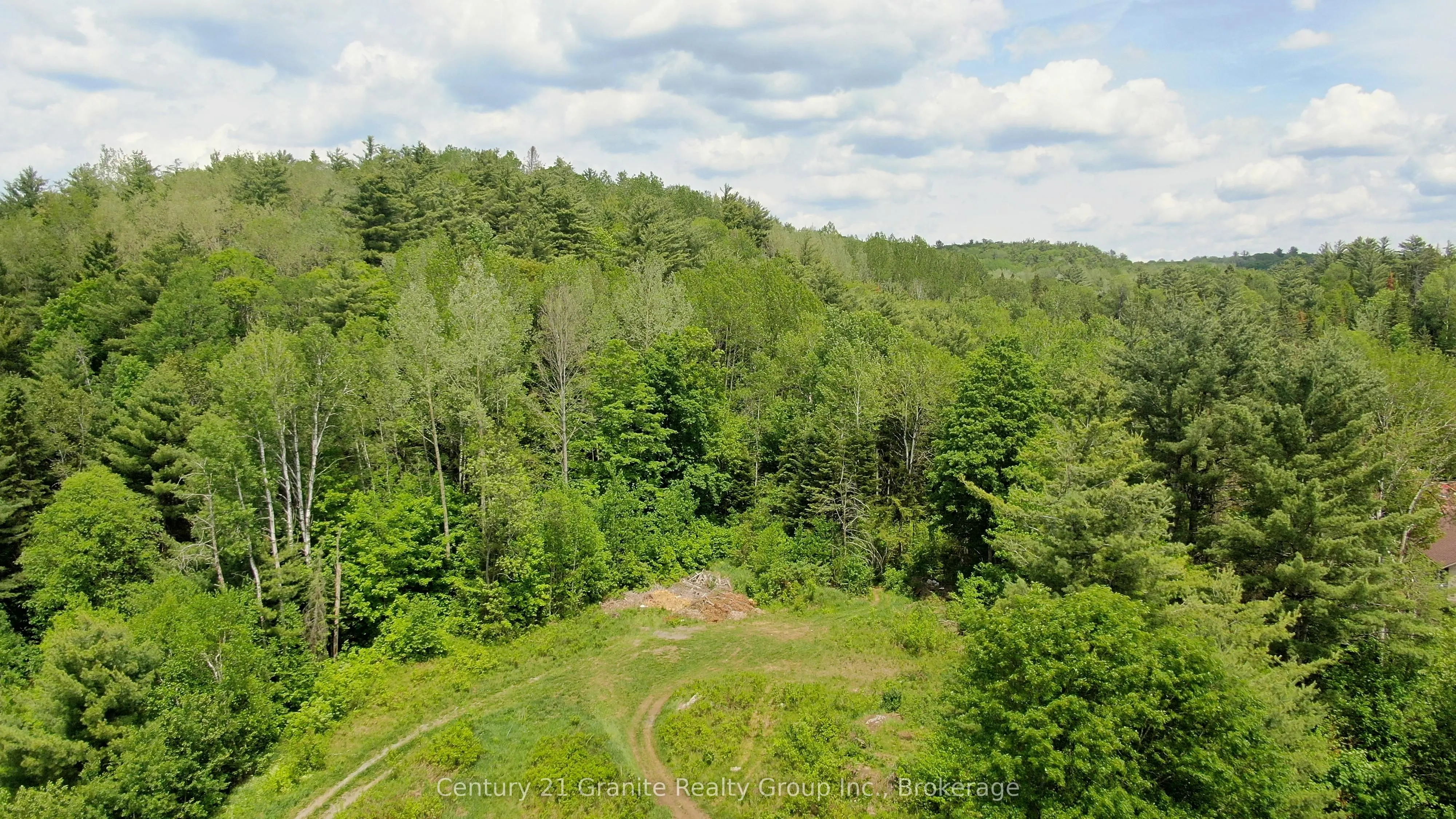 47 & 55 Cleak Avenue