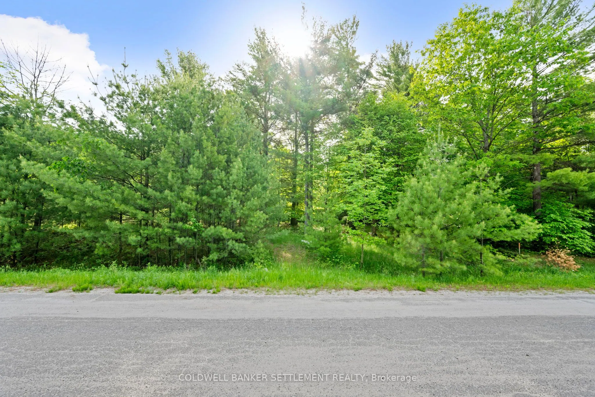 935 McLaren Road