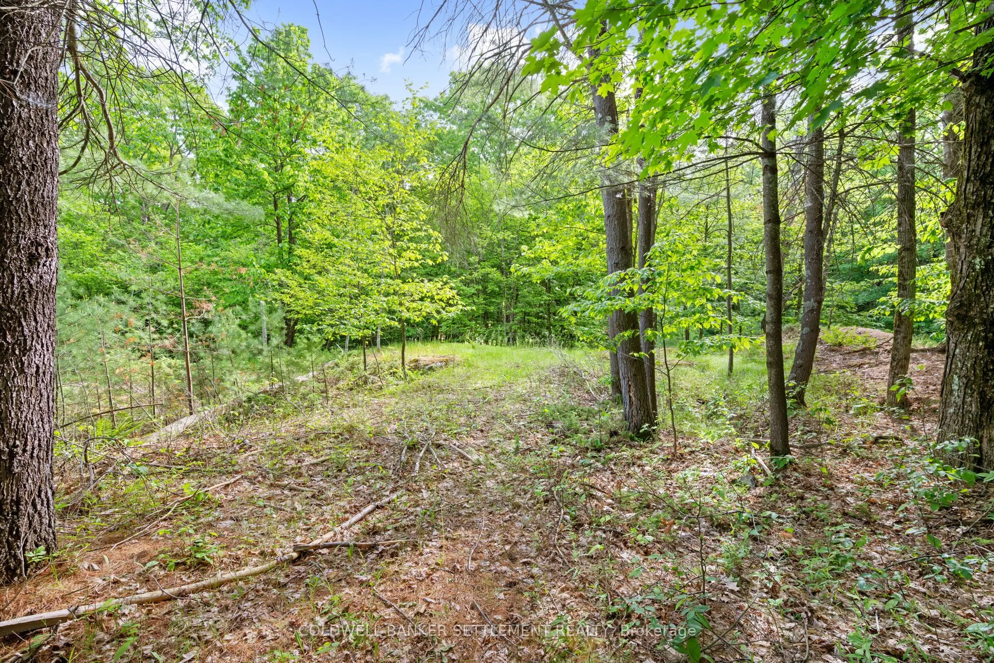 935 McLaren Road