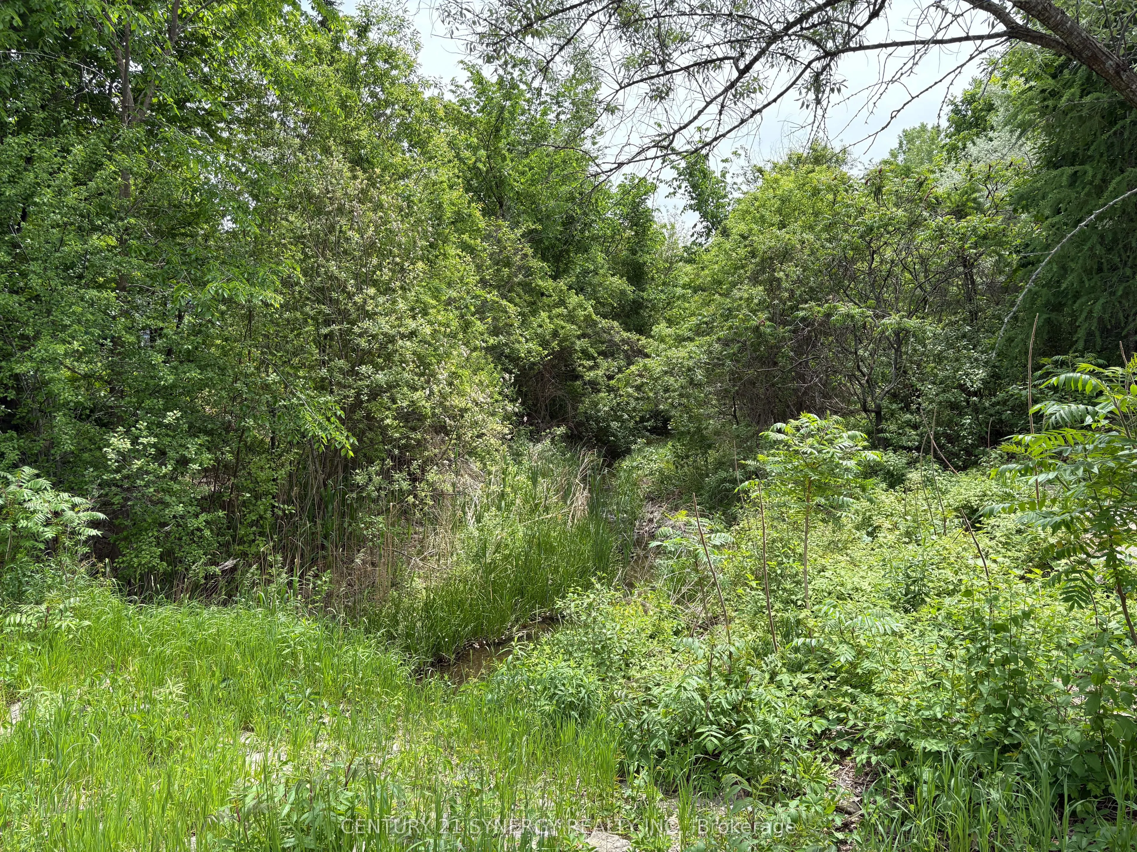 45 Turtle Point Private