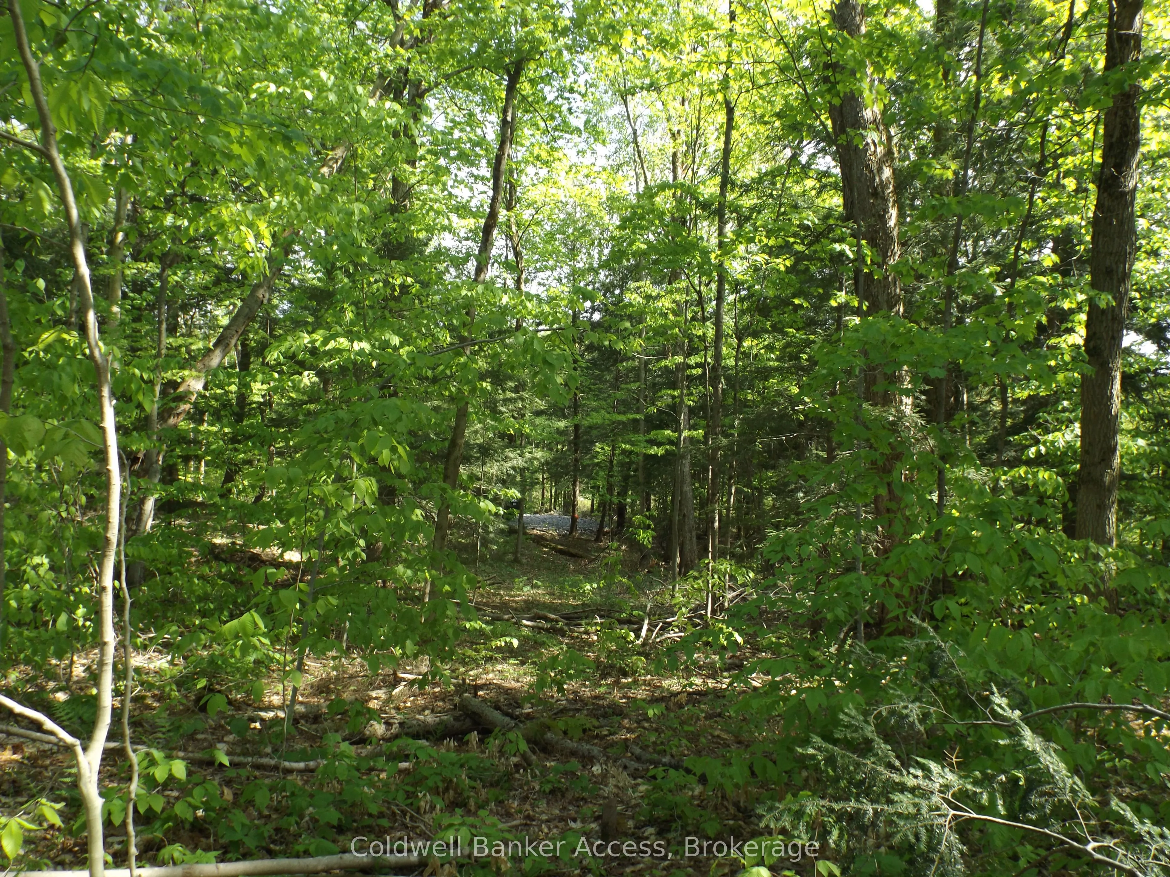 1108 Buckeye Road