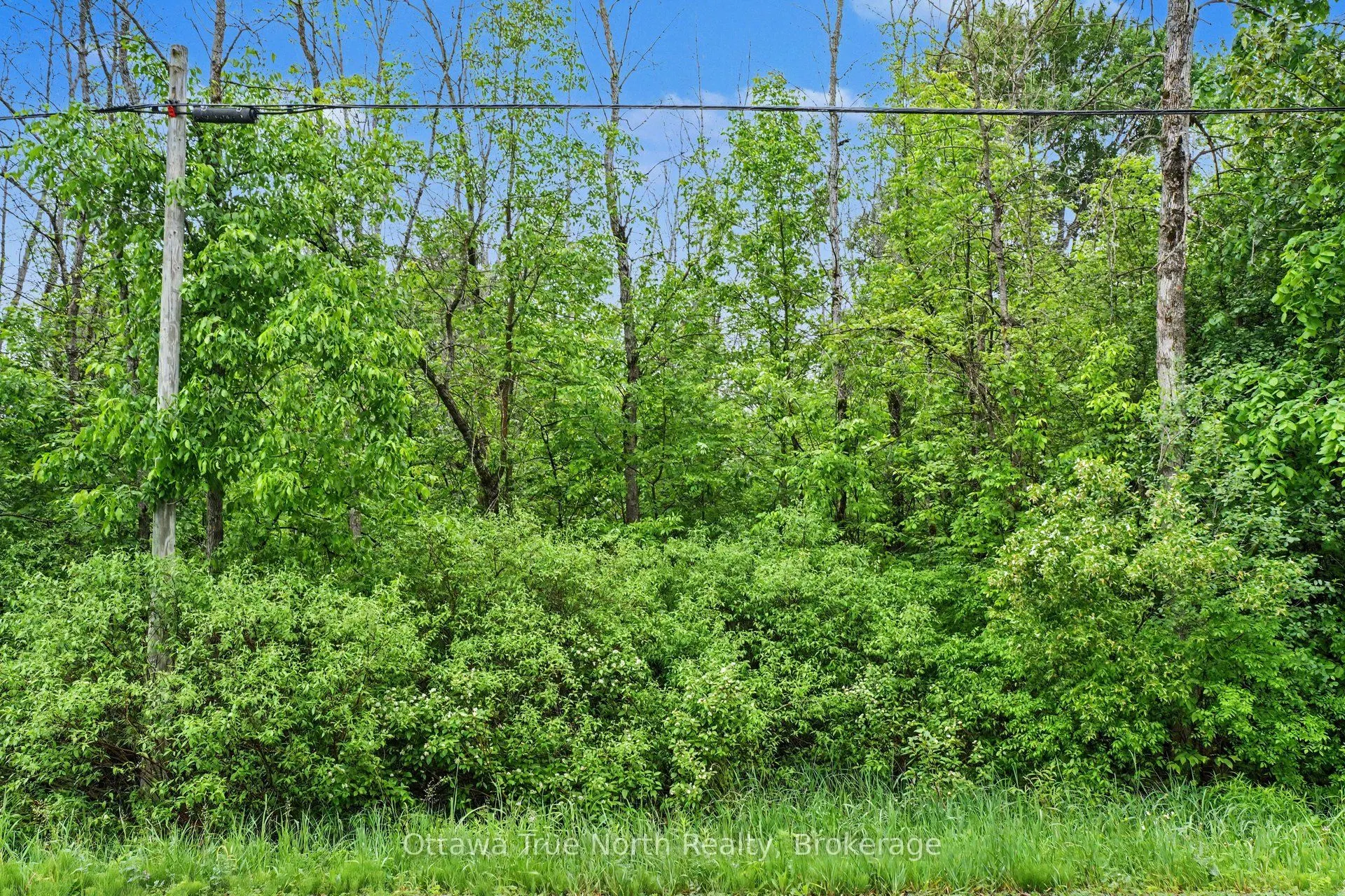 412 Scotch Line Road