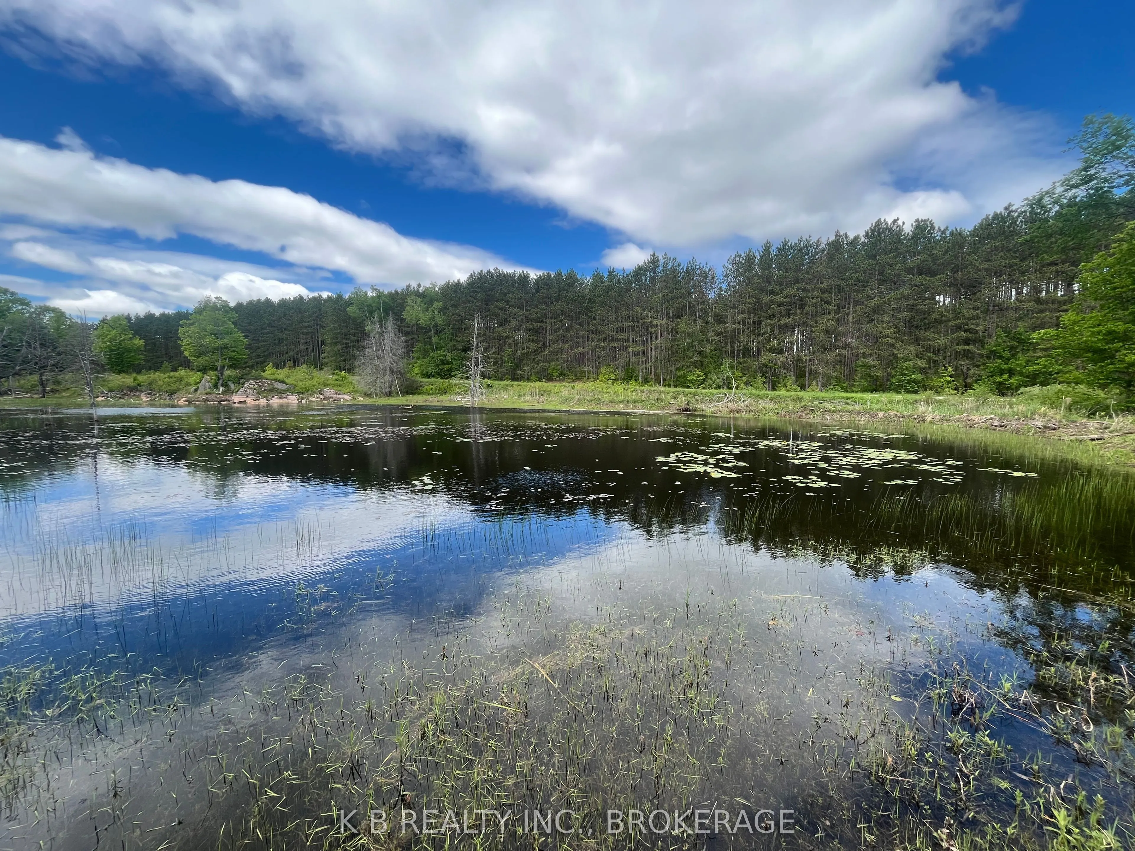 2970 Mountain Road