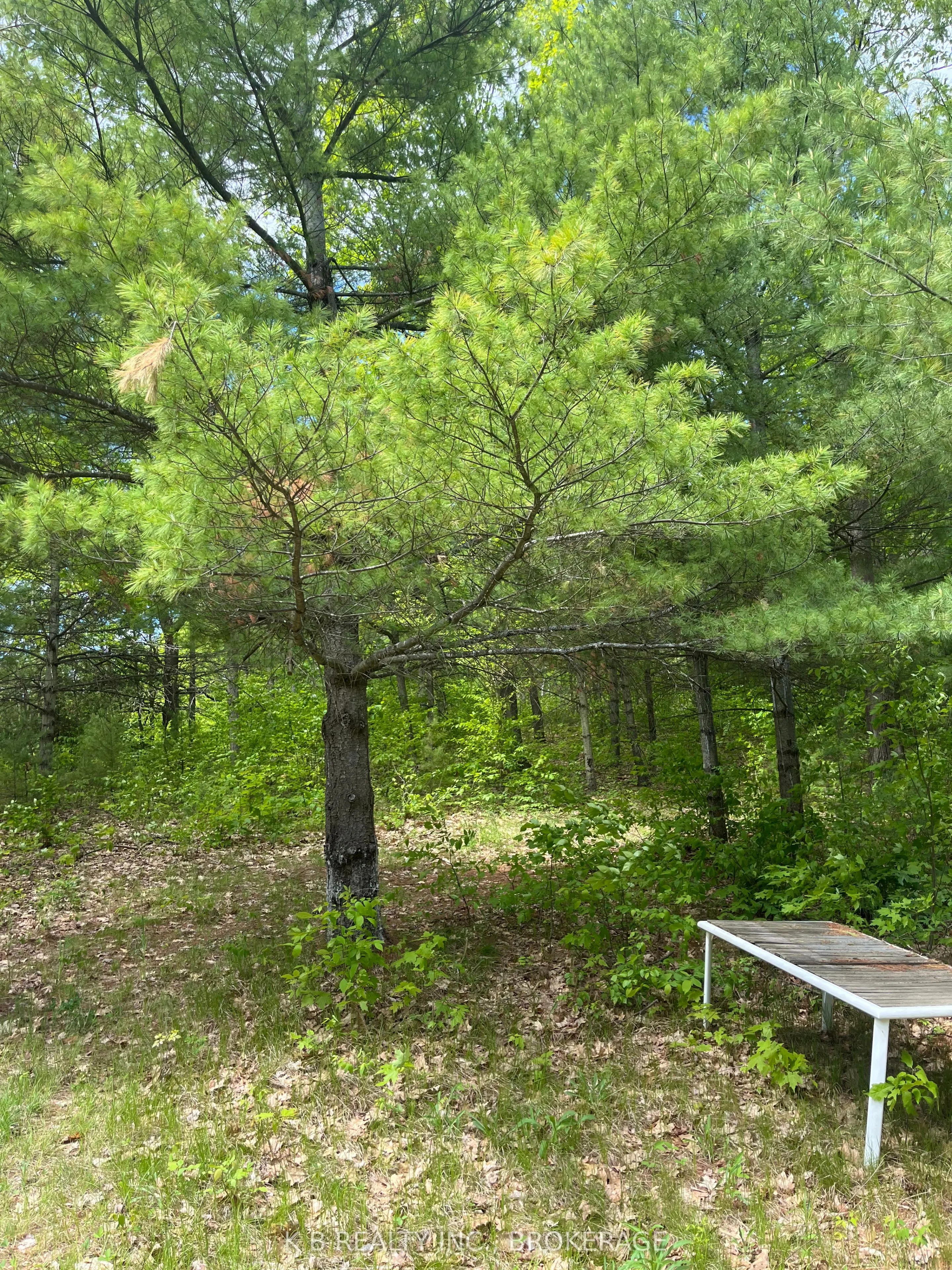 2970 Mountain Road