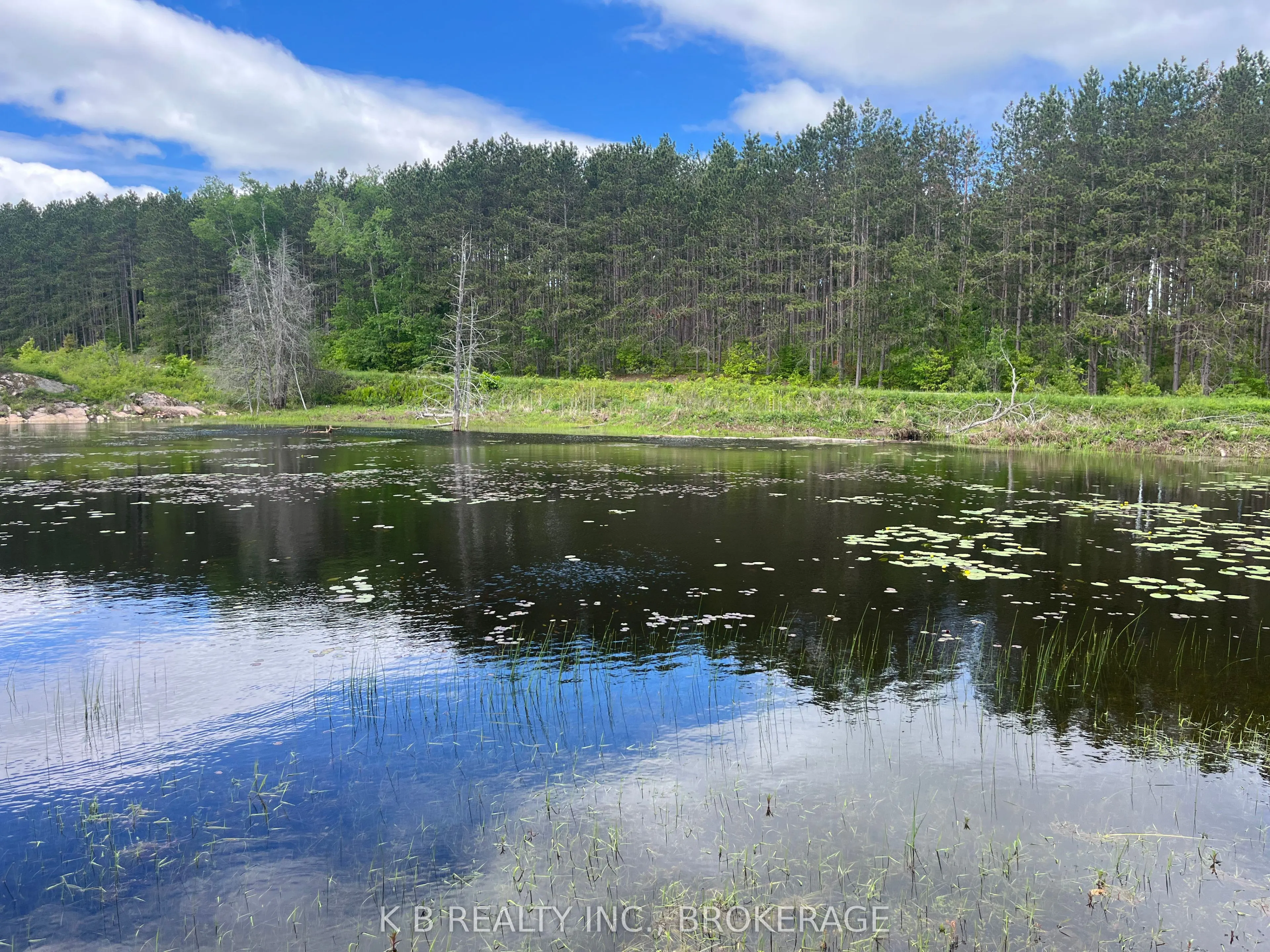 2970 Mountain Road