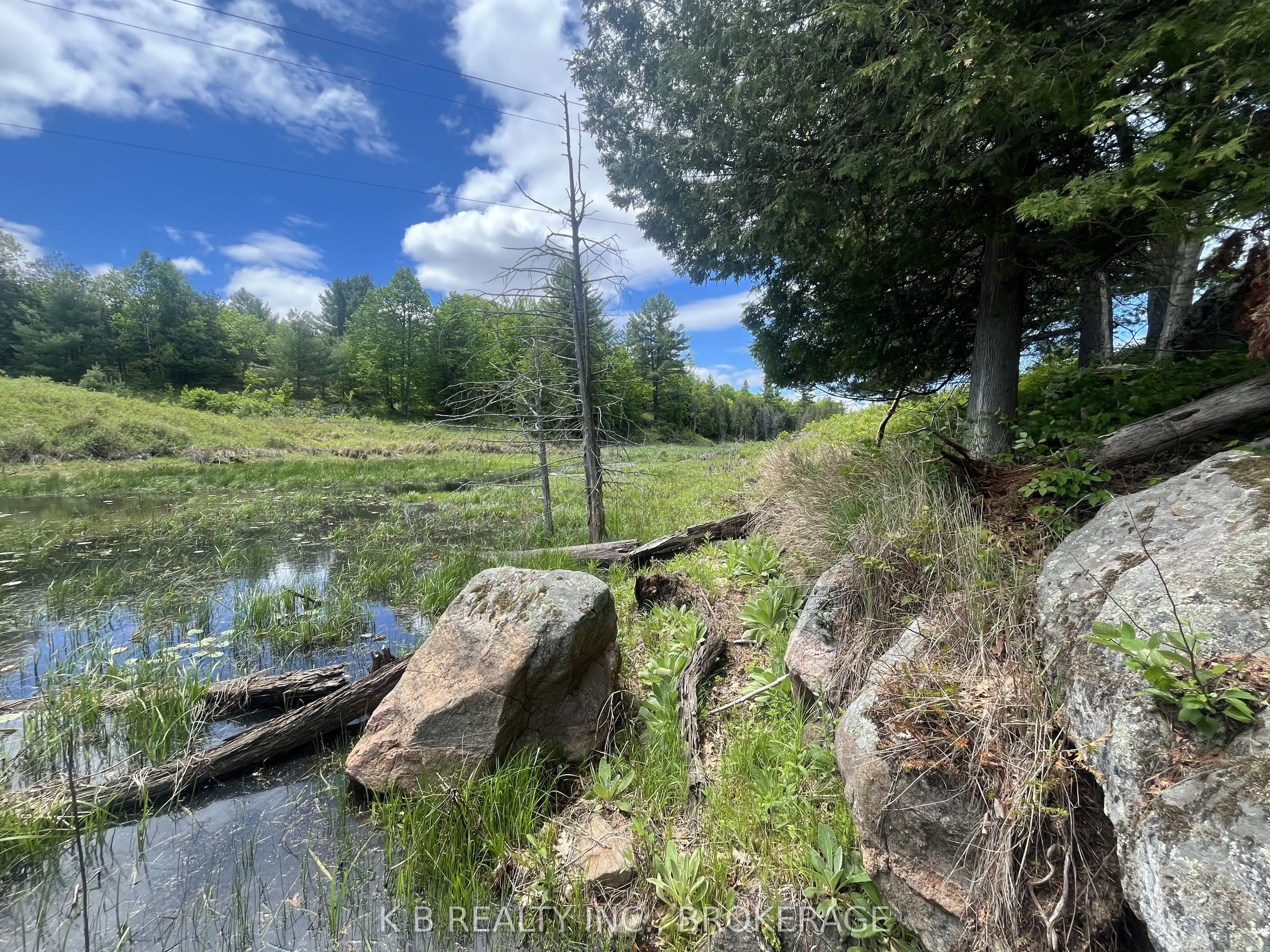 2970 Mountain Road