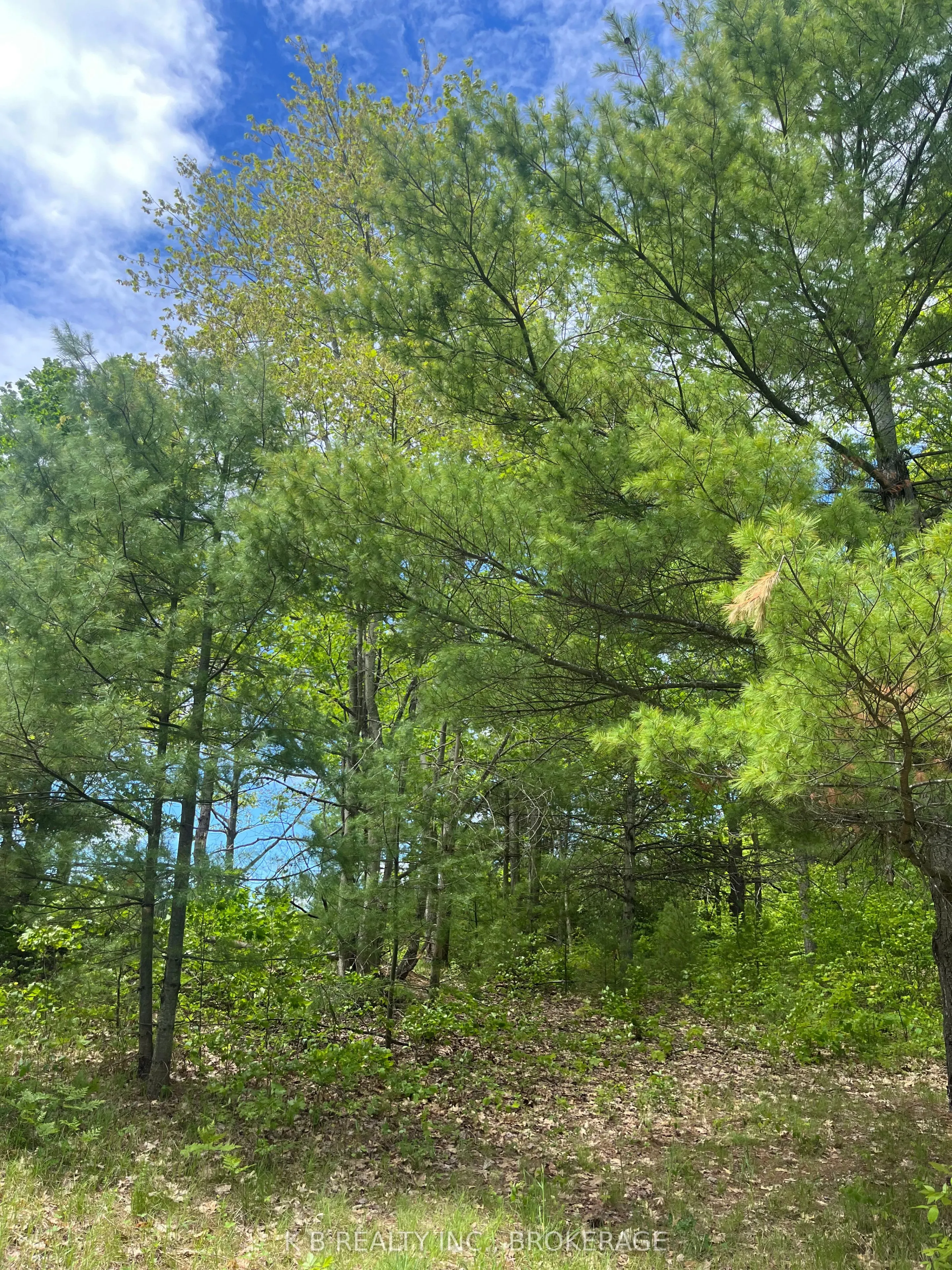 2970 Mountain Road