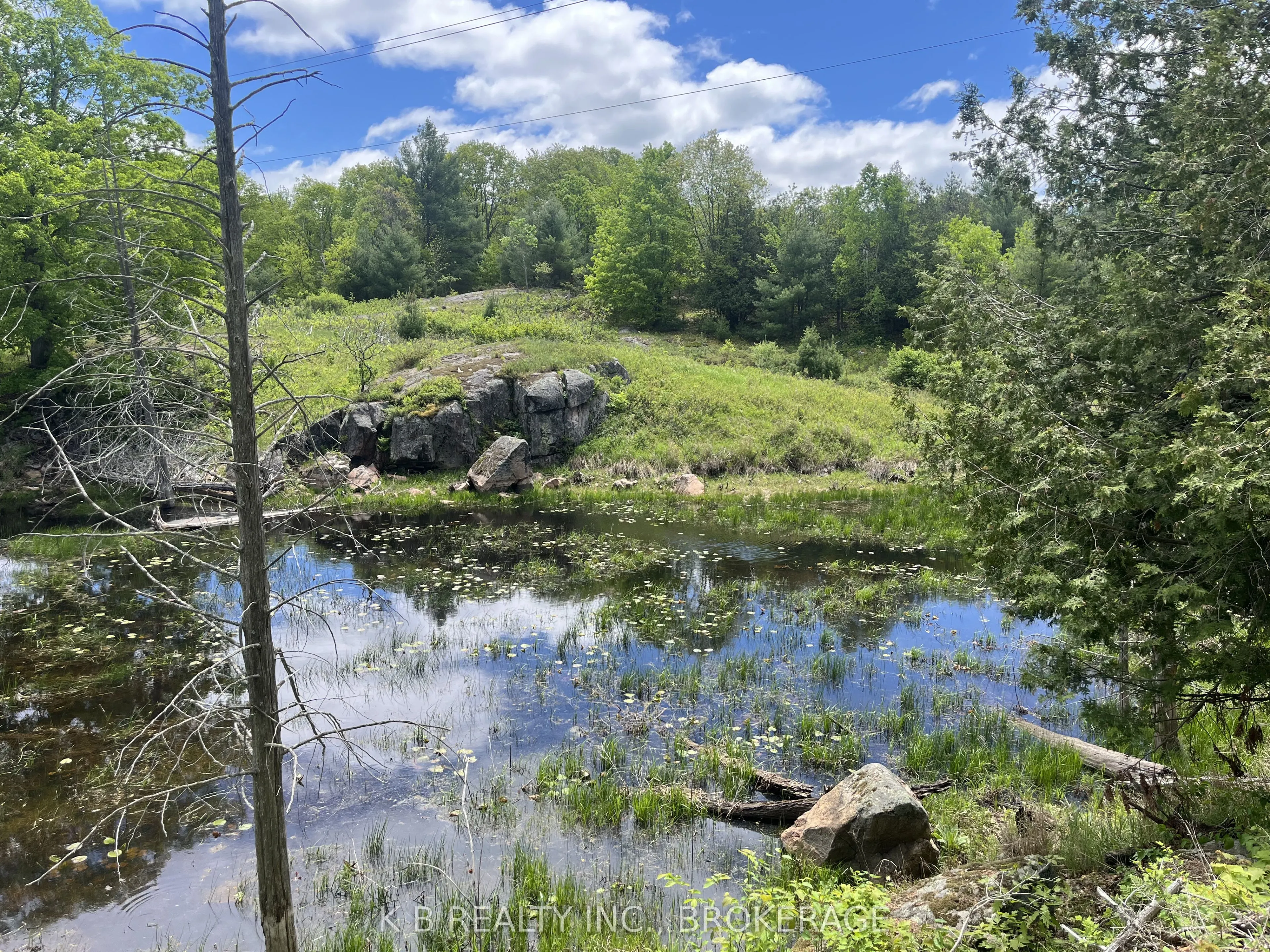 2970 Mountain Road