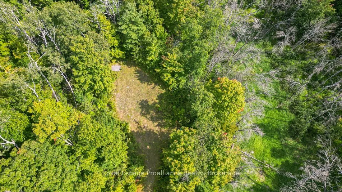 316 High Shore Road