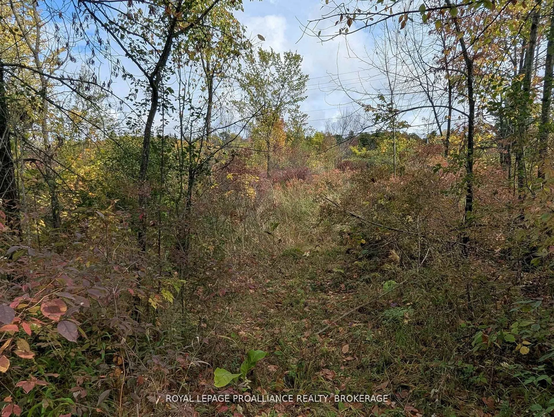 Lot 34 Leo Lake Road