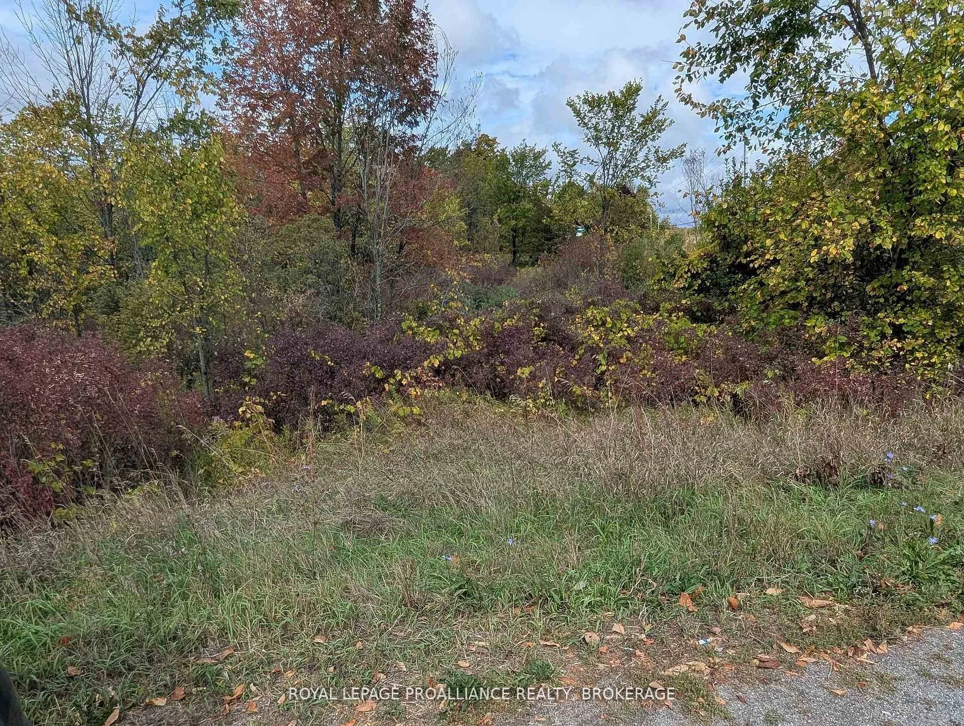 Lot 34 Leo Lake Road