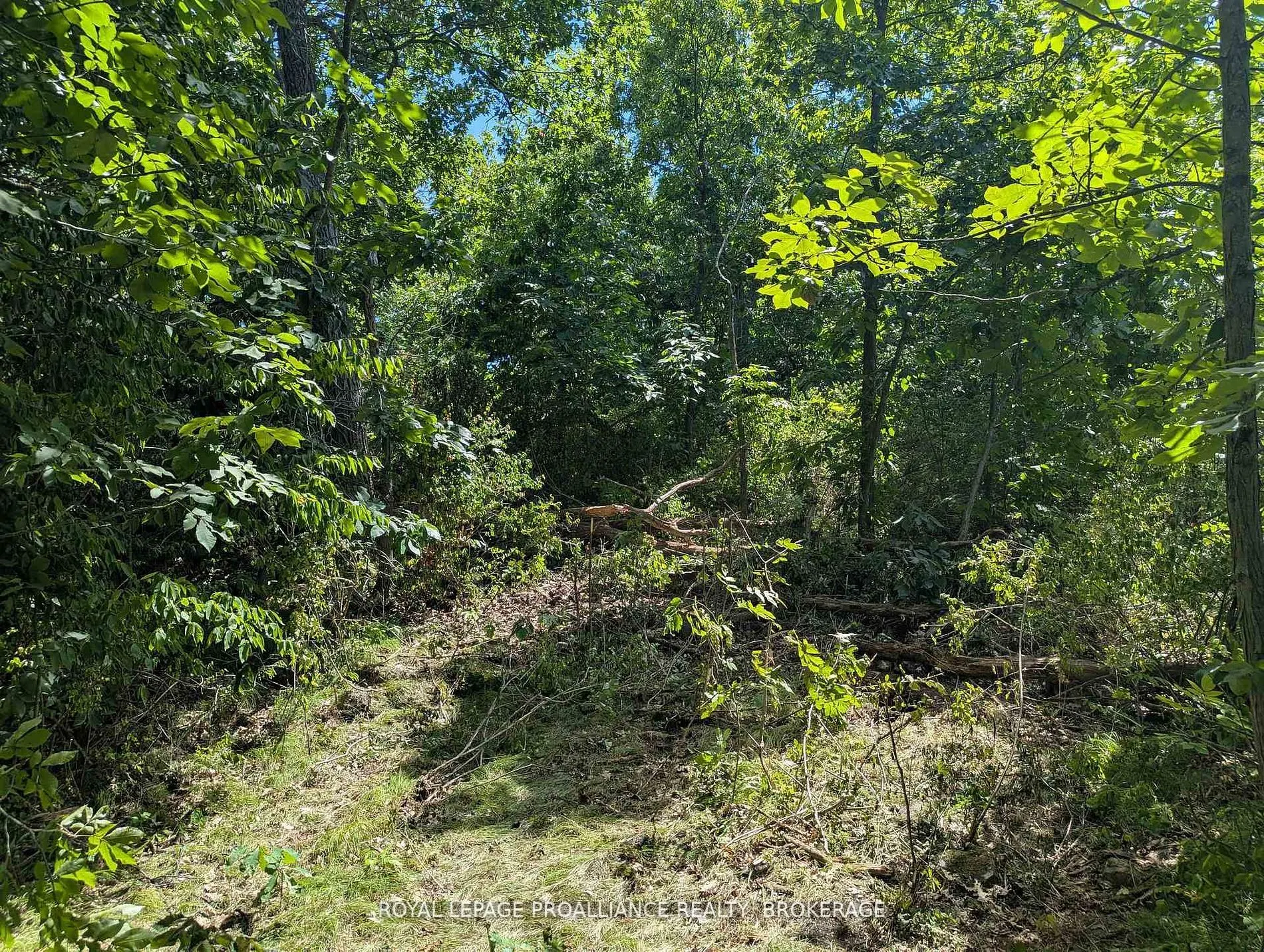 2621 4th Concession Road
