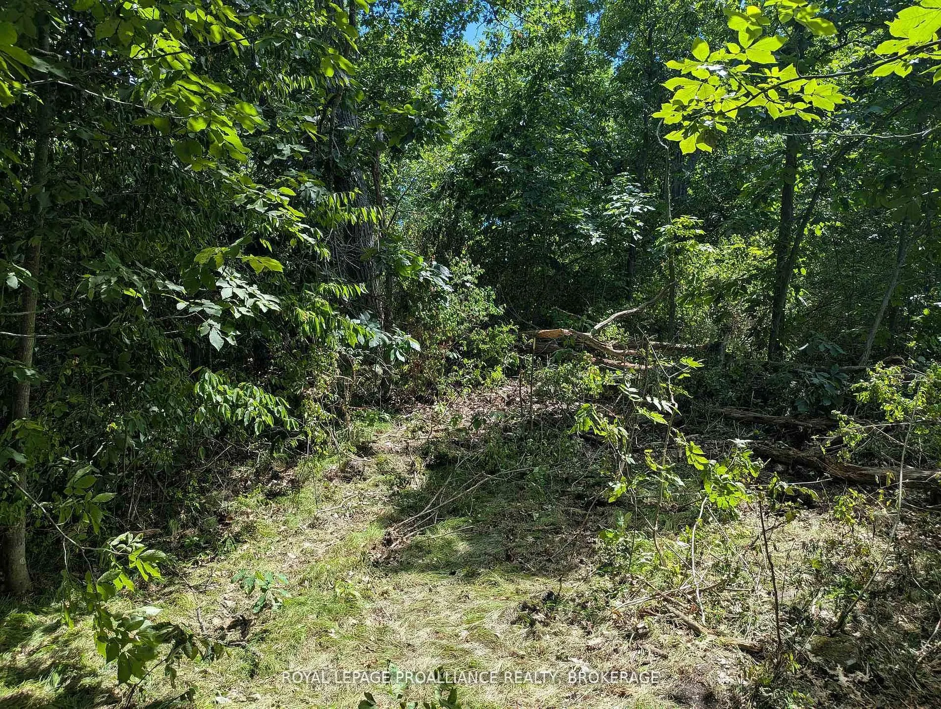 2621 4th Concession Road