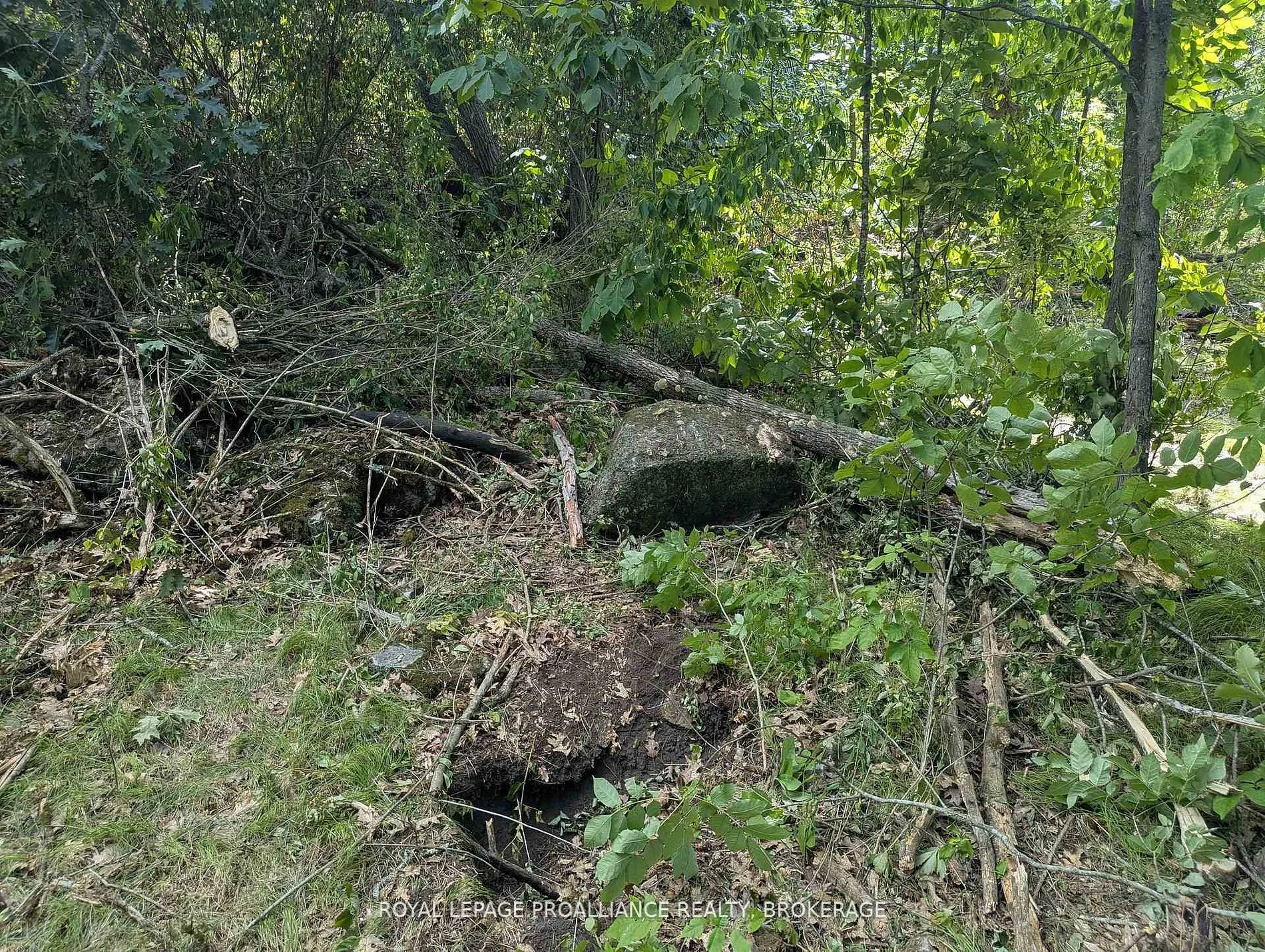 2621 4th Concession Road