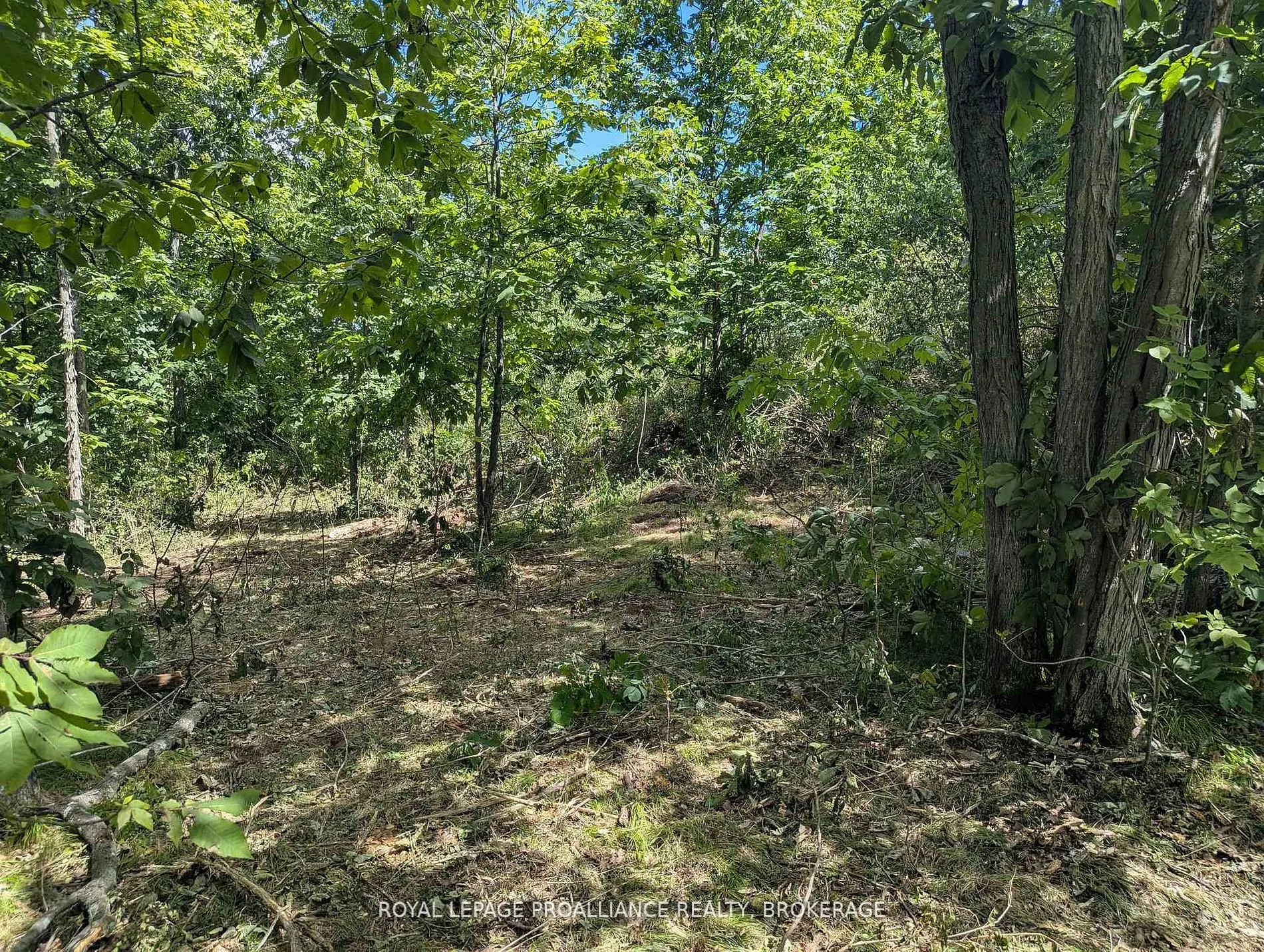 2621 4th Concession Road