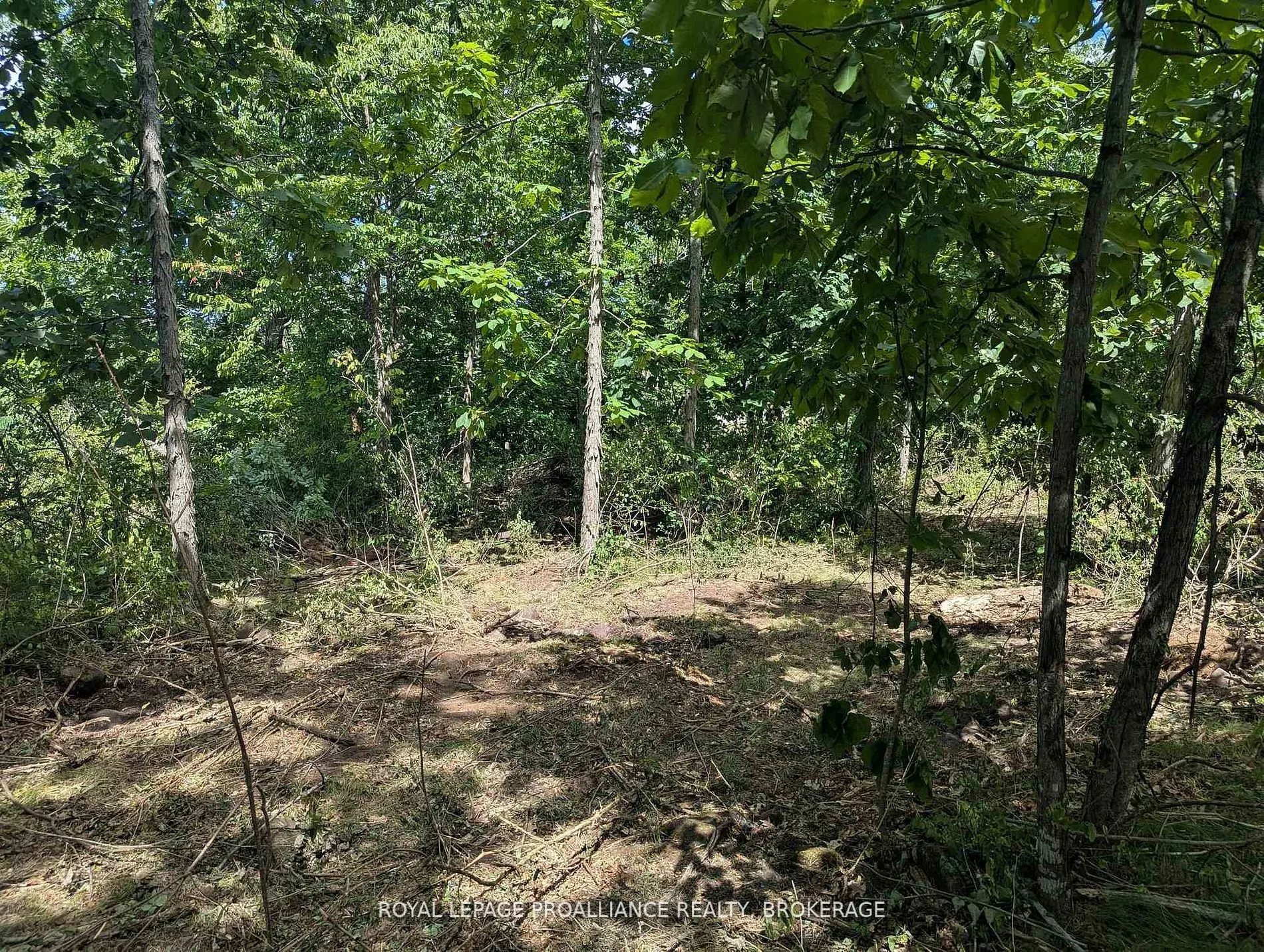 2621 4th Concession Road