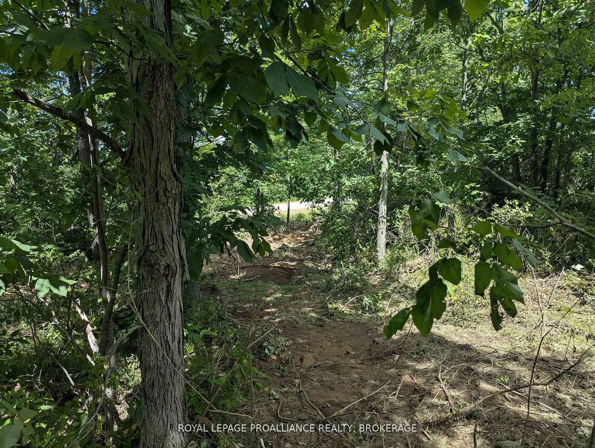 2621 4th Concession Road