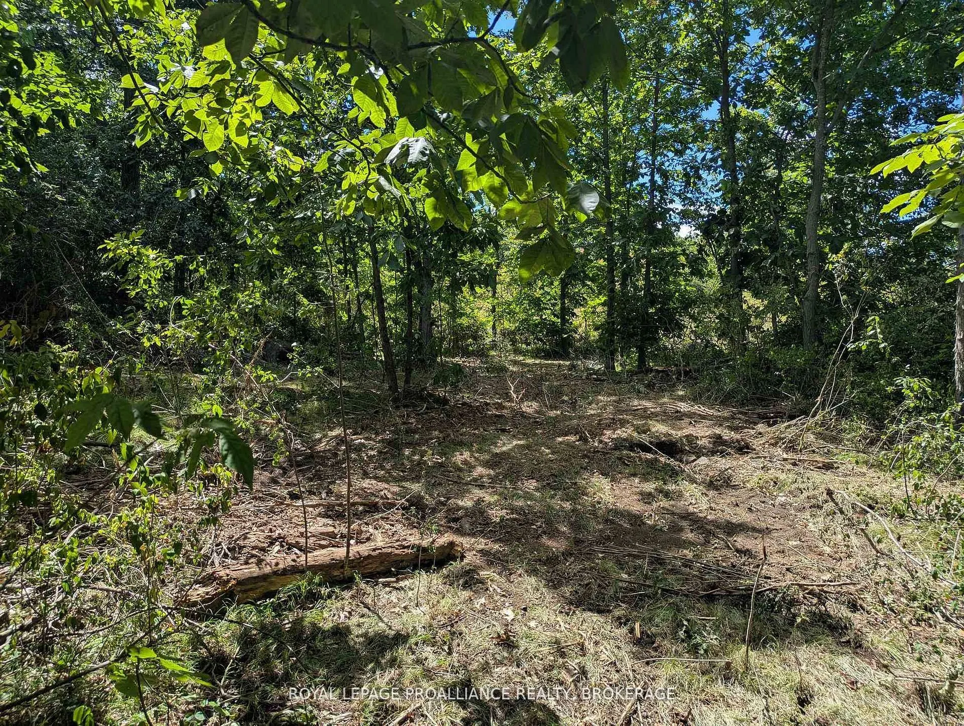 2621 4th Concession Road