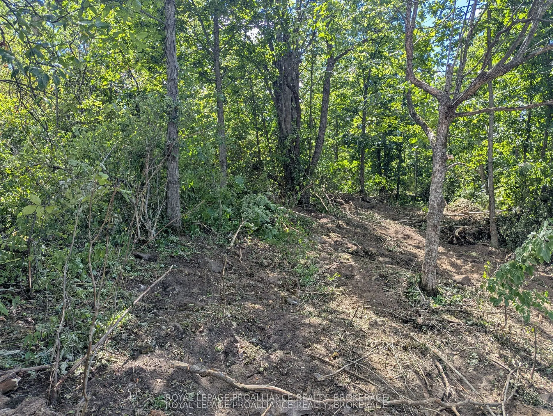 2621 4th Concession Road
