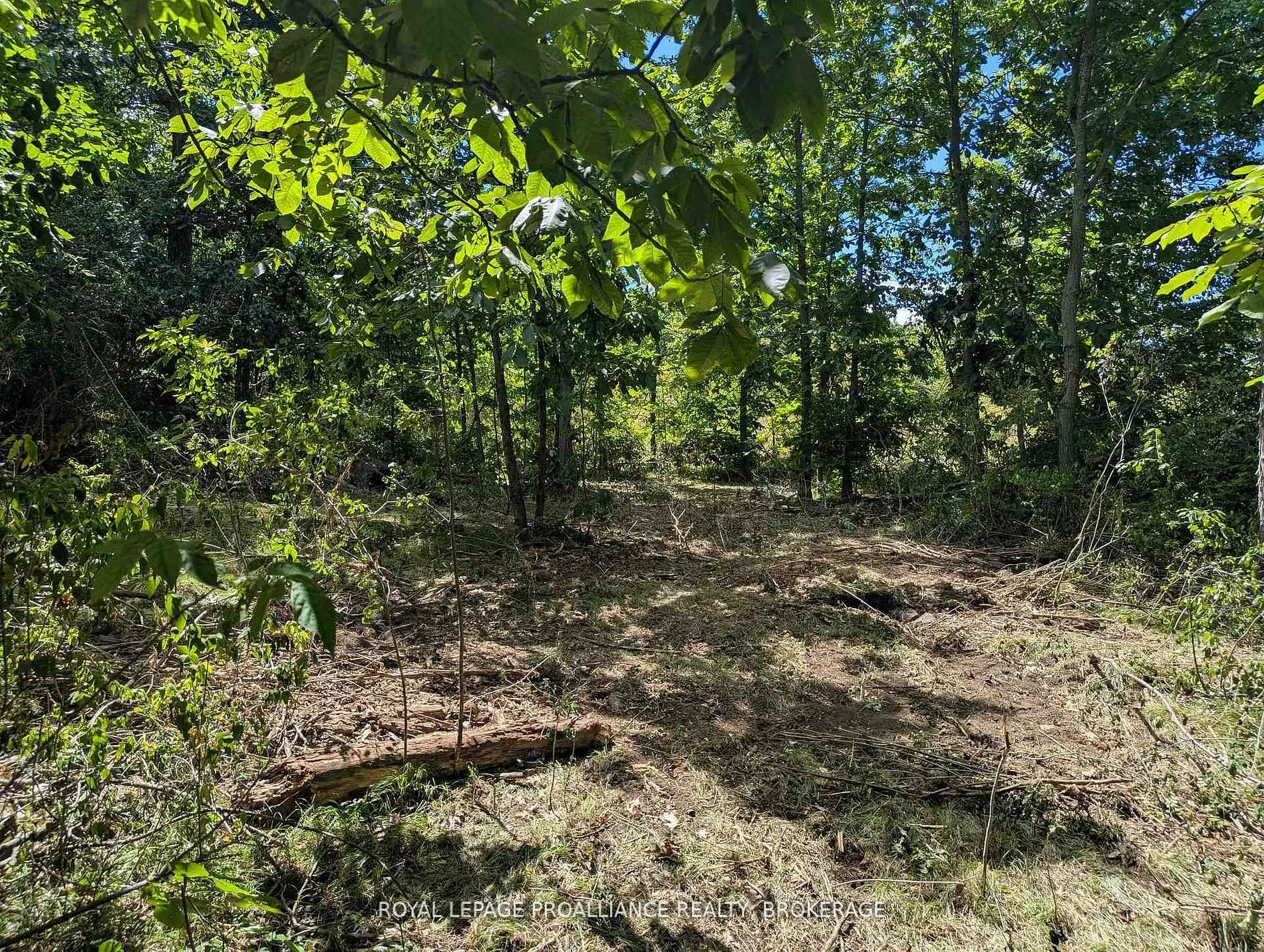 2621 4th Concession Road
