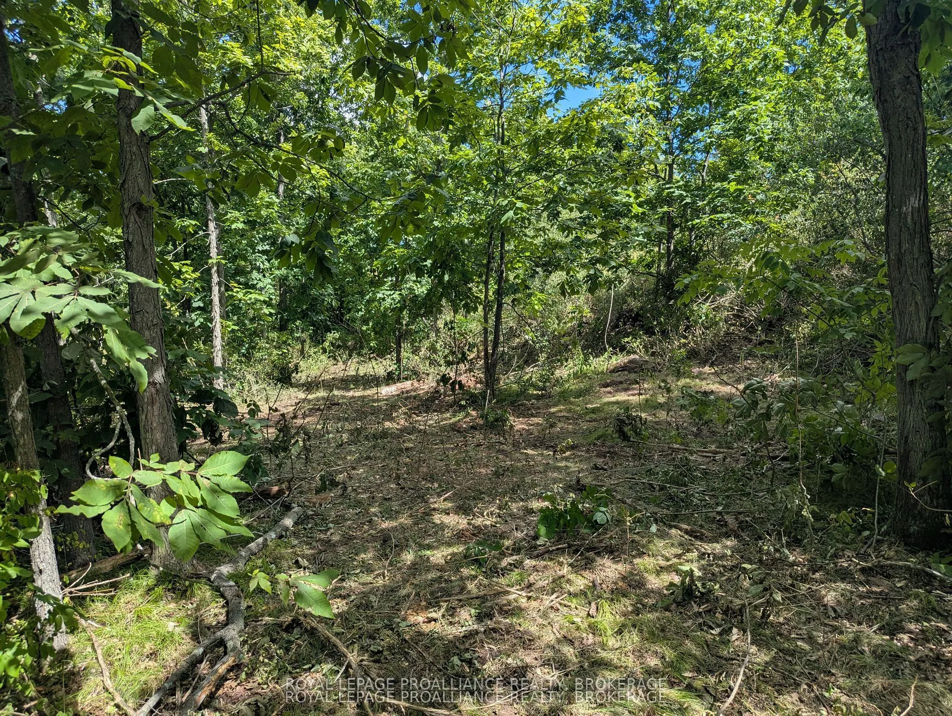 2621 4th Concession Road