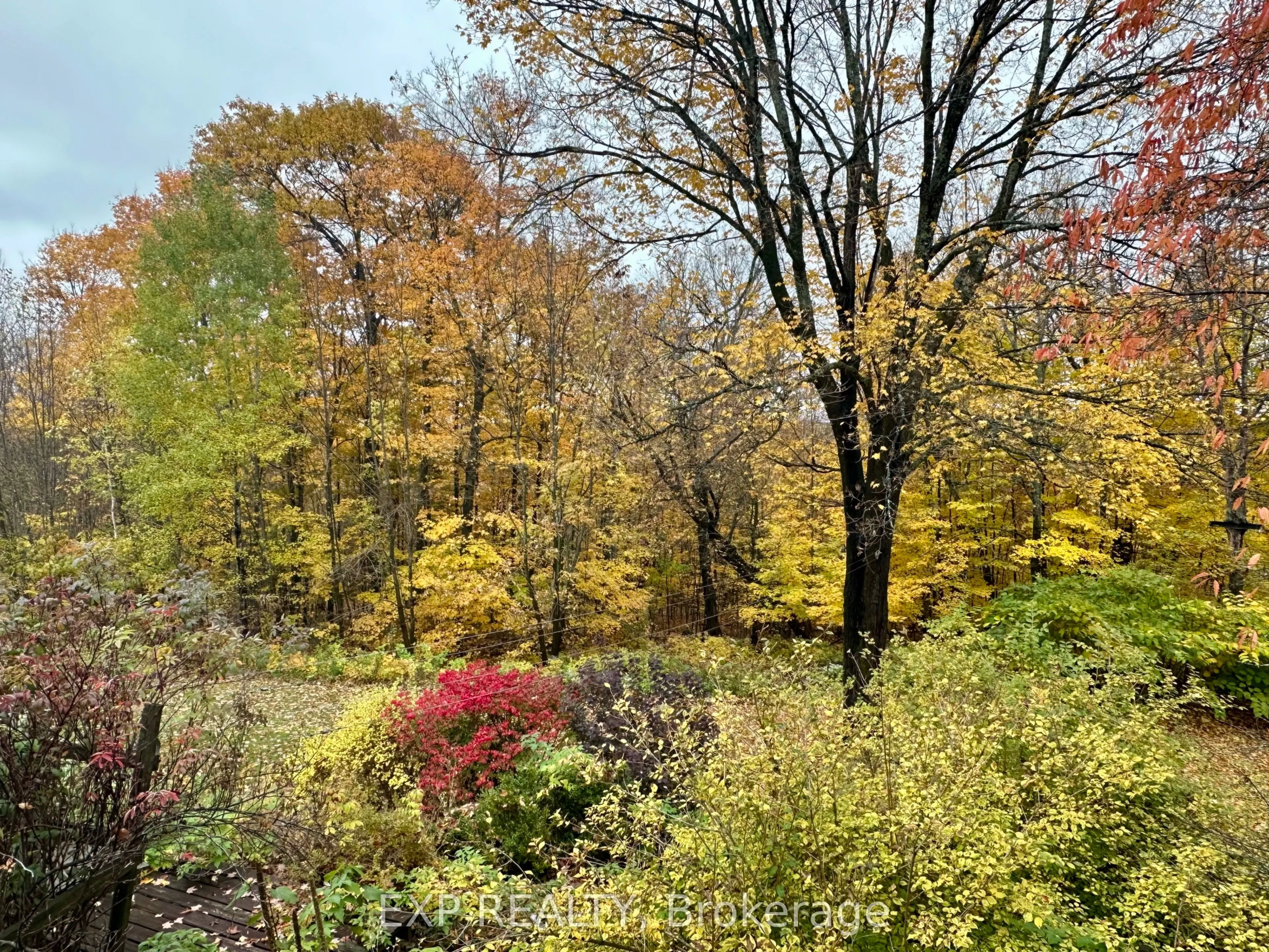 499 Centreview Road
