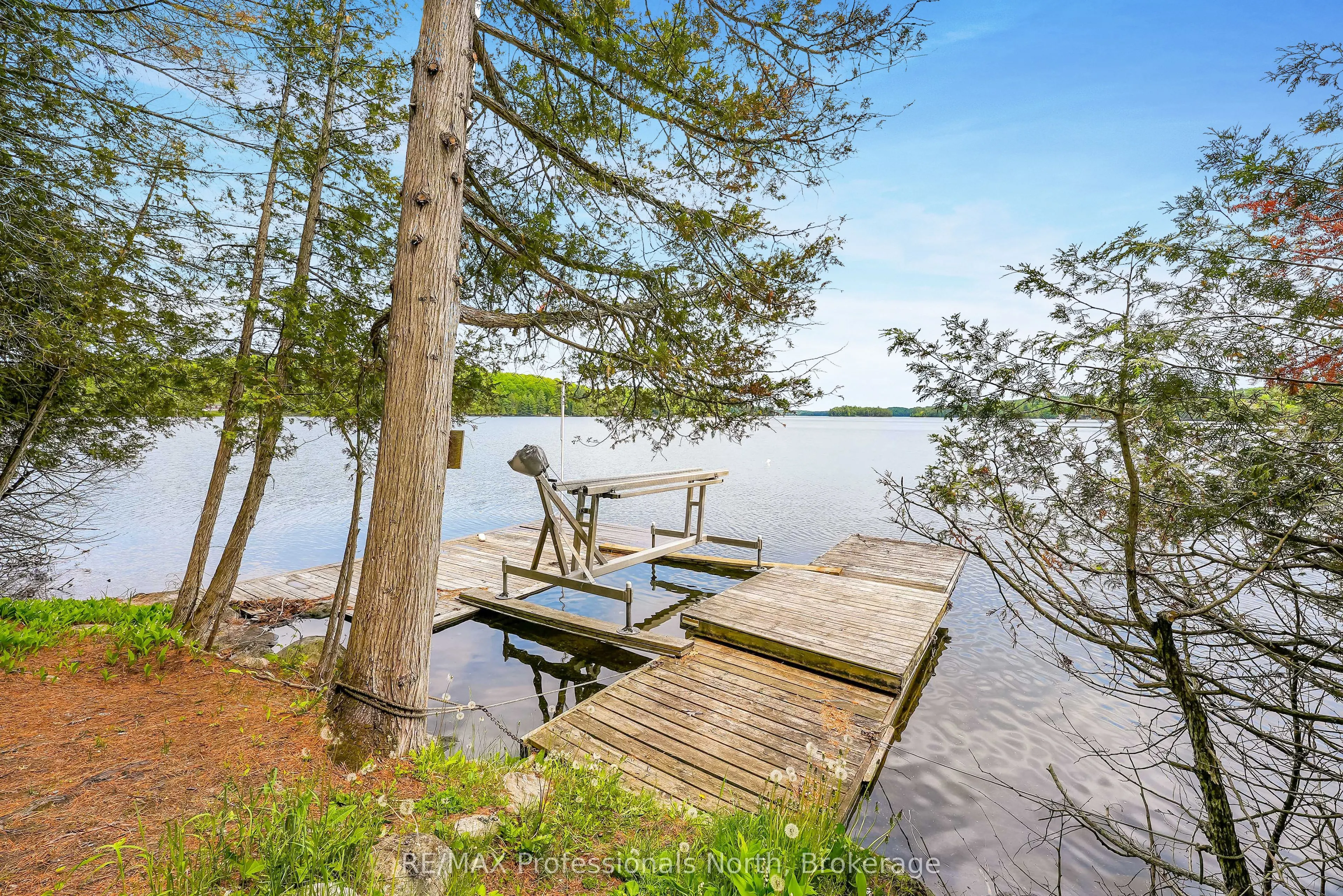 1214 Kashagawigamog Lake Road