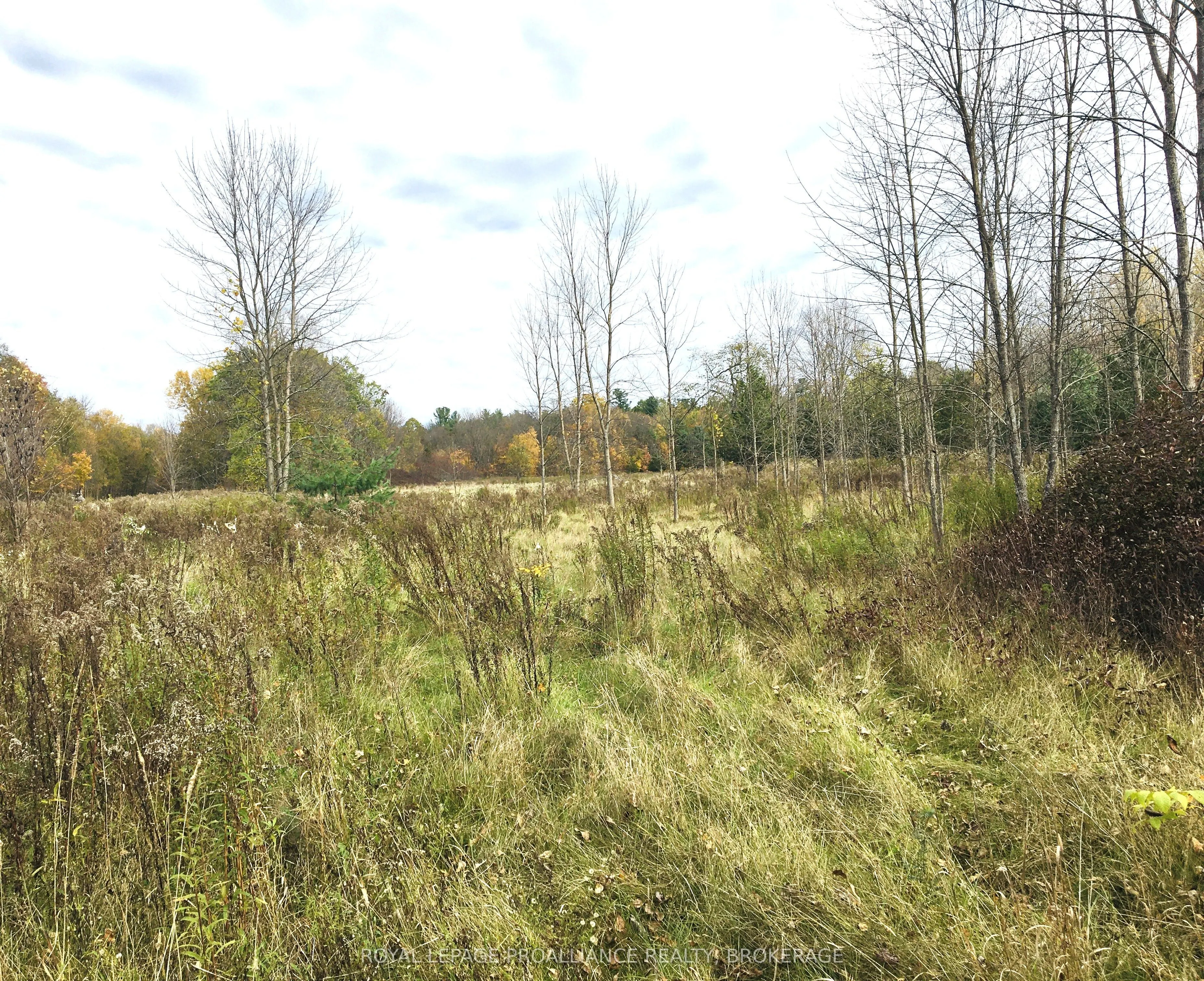 LOT 11 Long Reach Lane