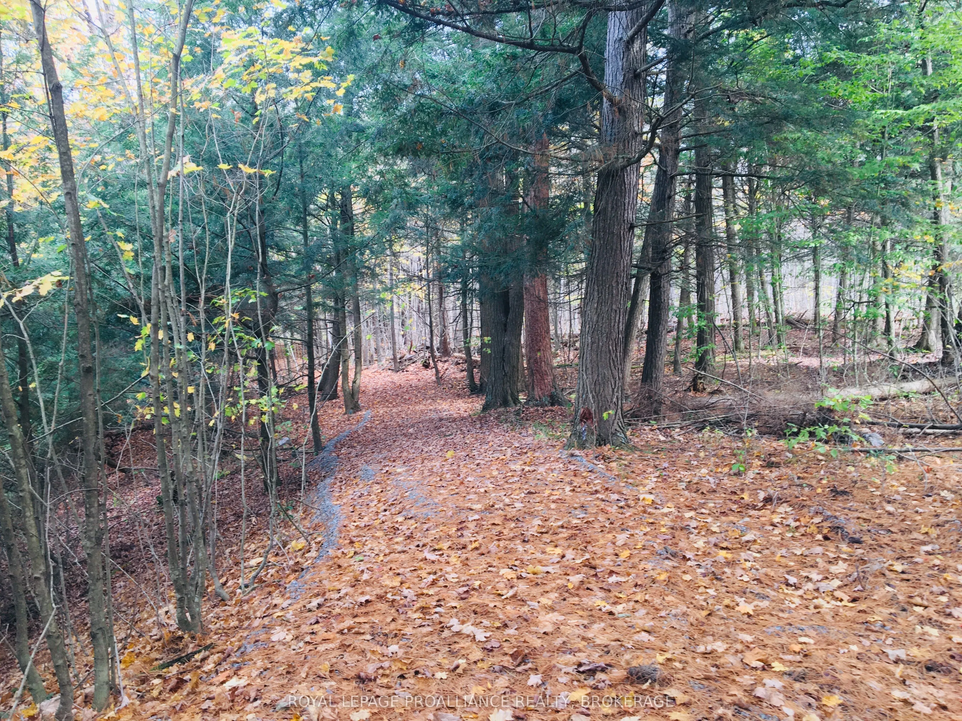 LOT 11 Long Reach Lane