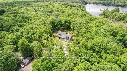 50 Fire Route 41