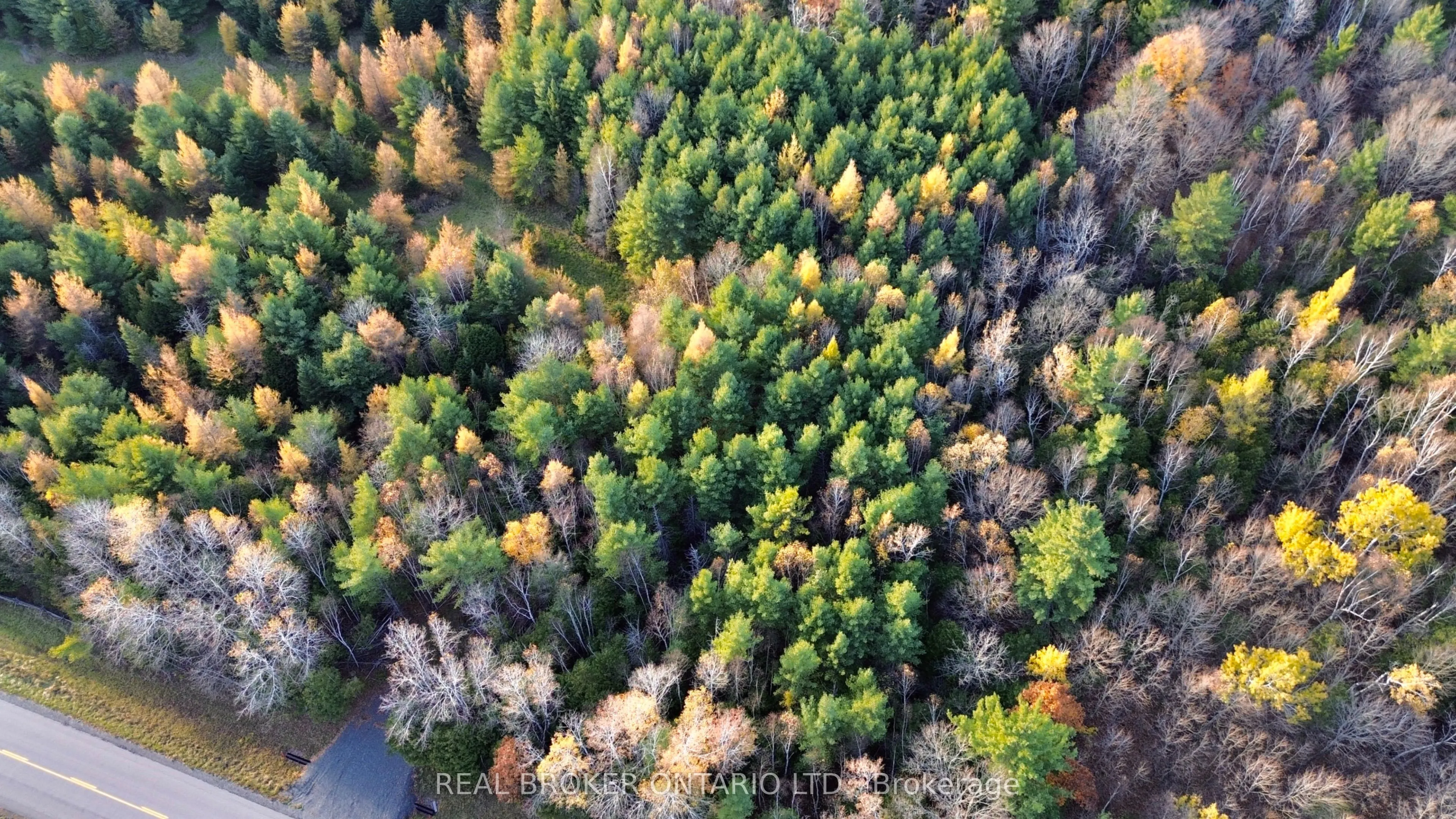 Lot 3 Watsons Corners Road