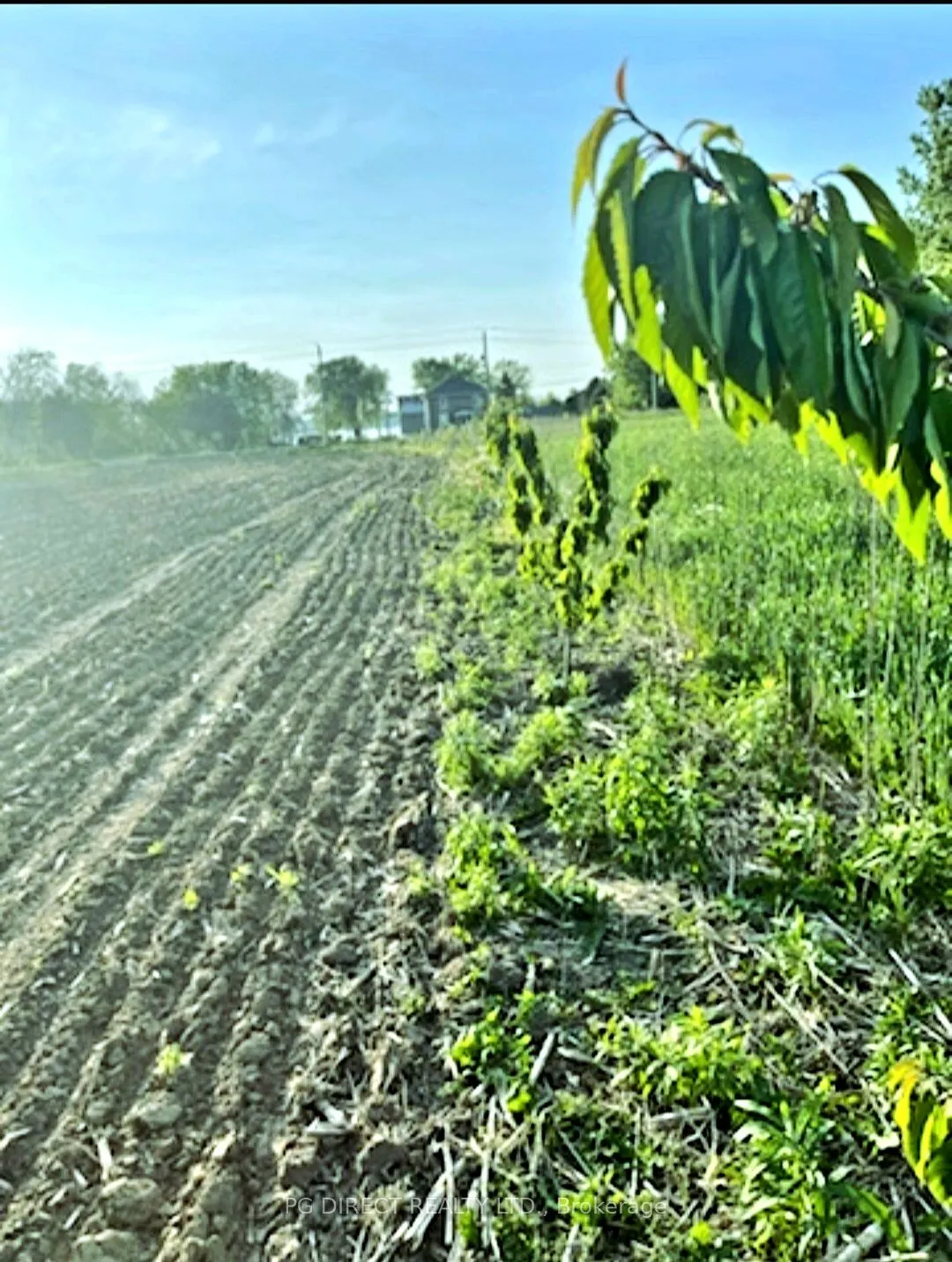 329 County Rd 3 Road