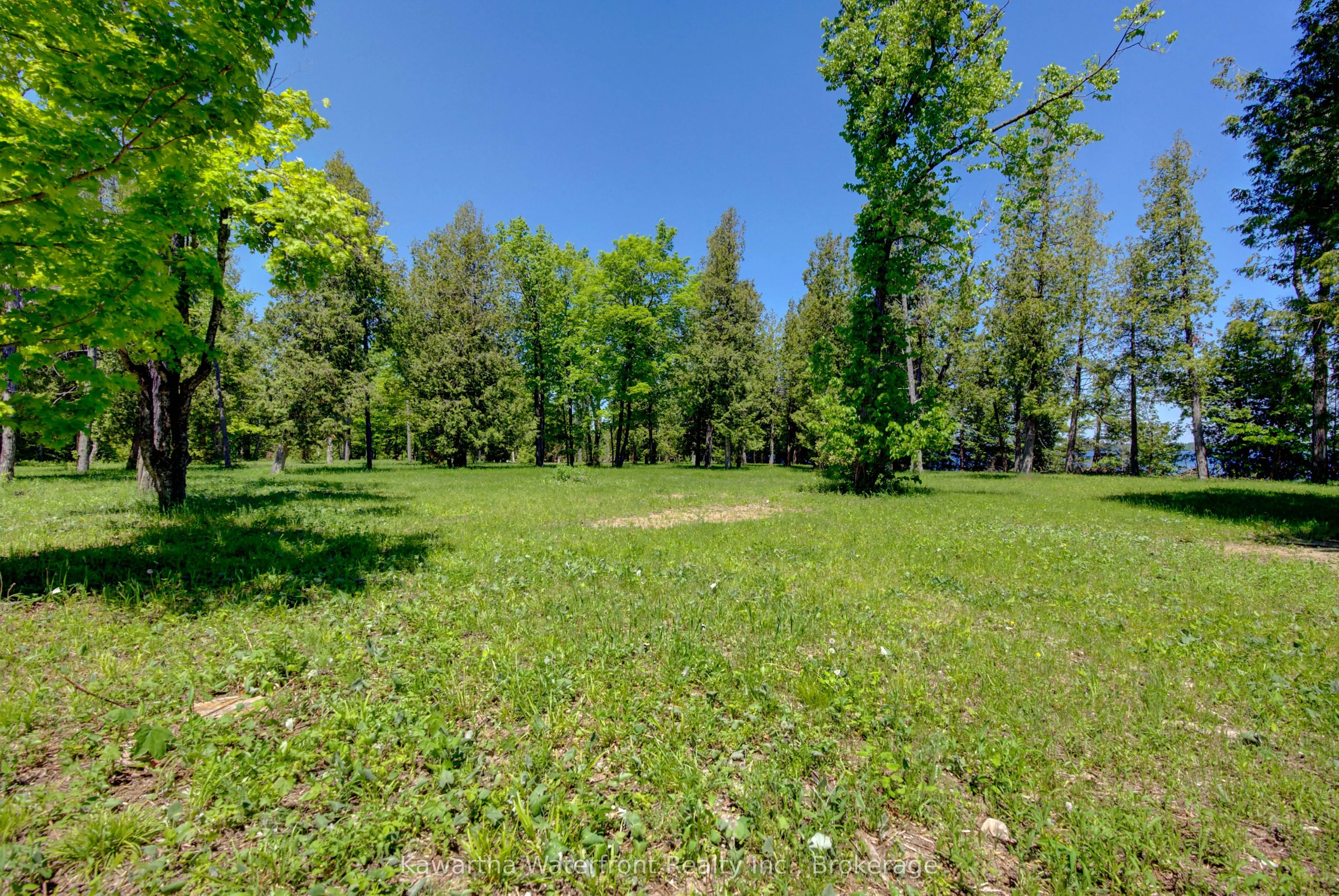 75 Beaver Drive