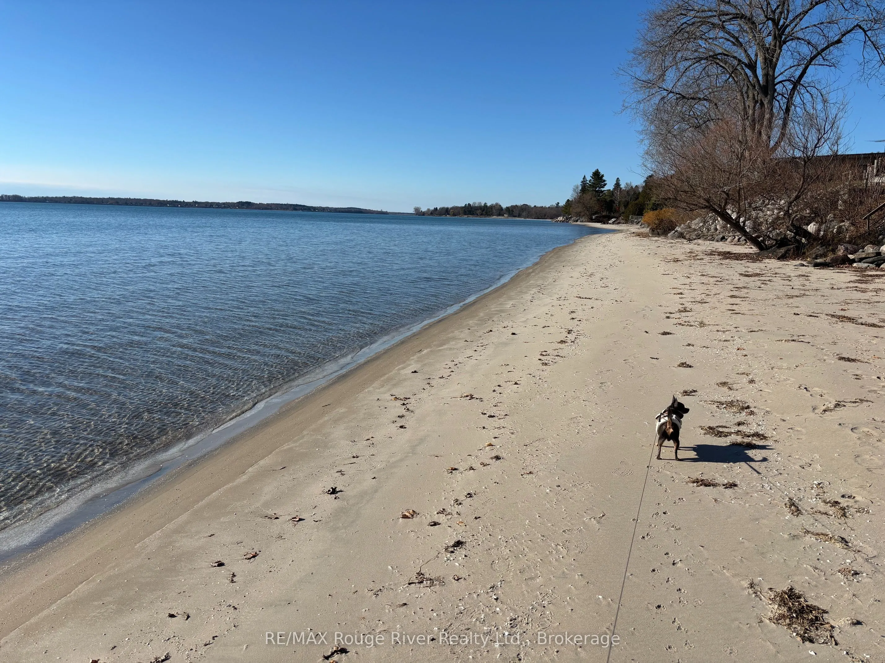 116 Cedardale Road #14