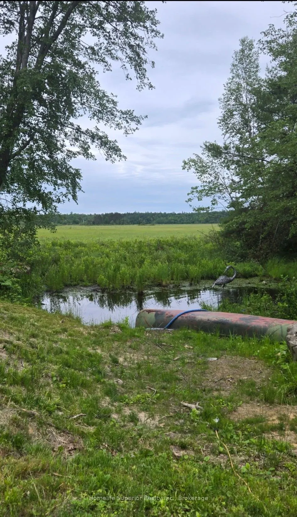 5497 County Rd 46