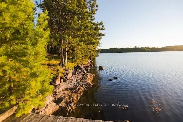372 Gunter Lake Road