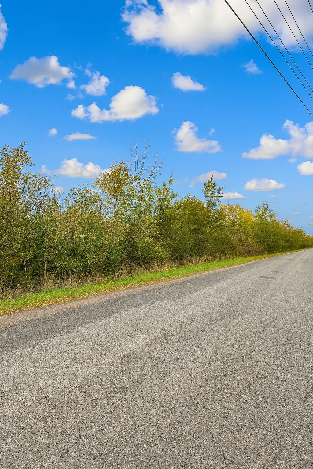 Lot 15 Martin Drive (Lot)